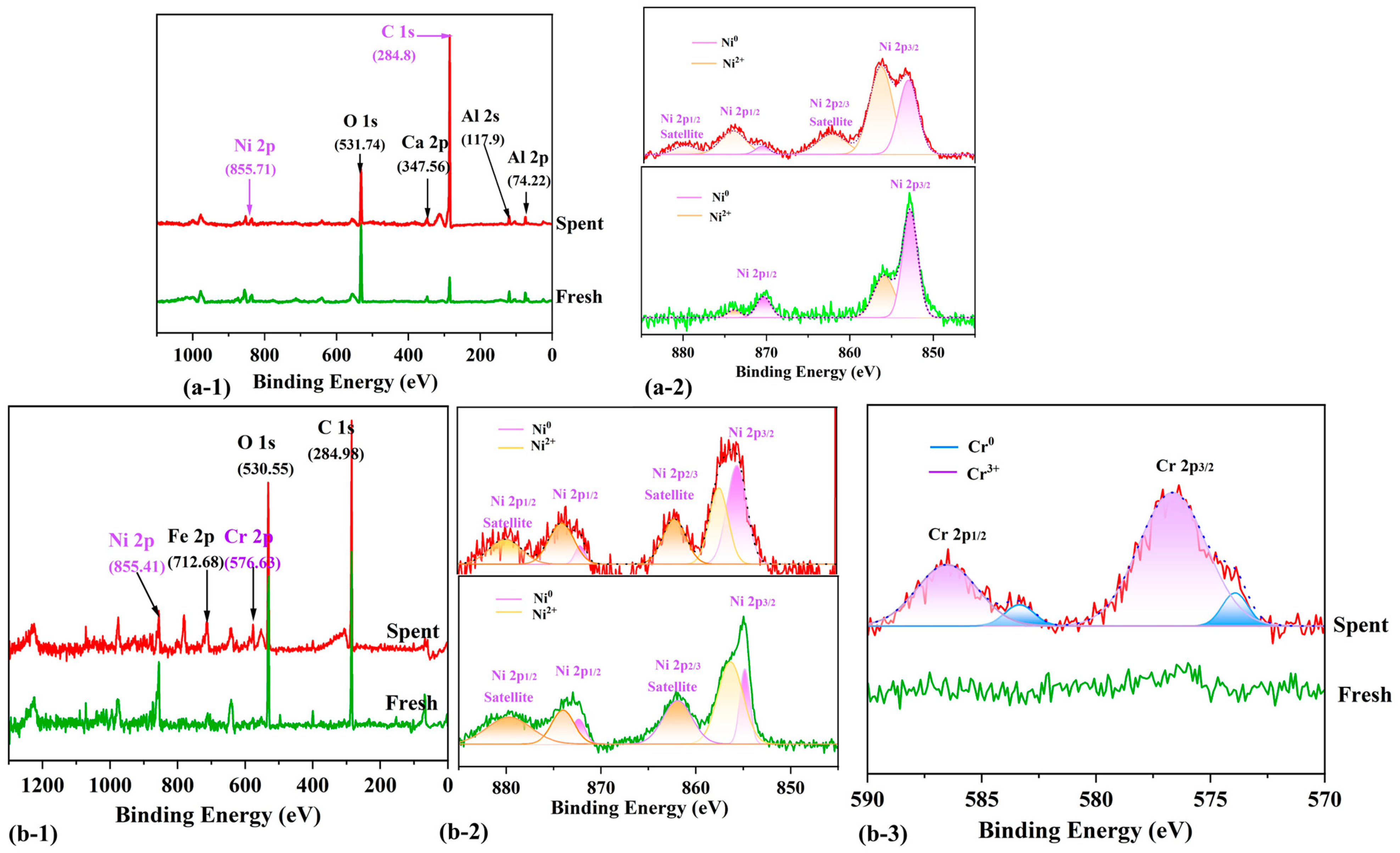 Catalysts 15 00200 g007