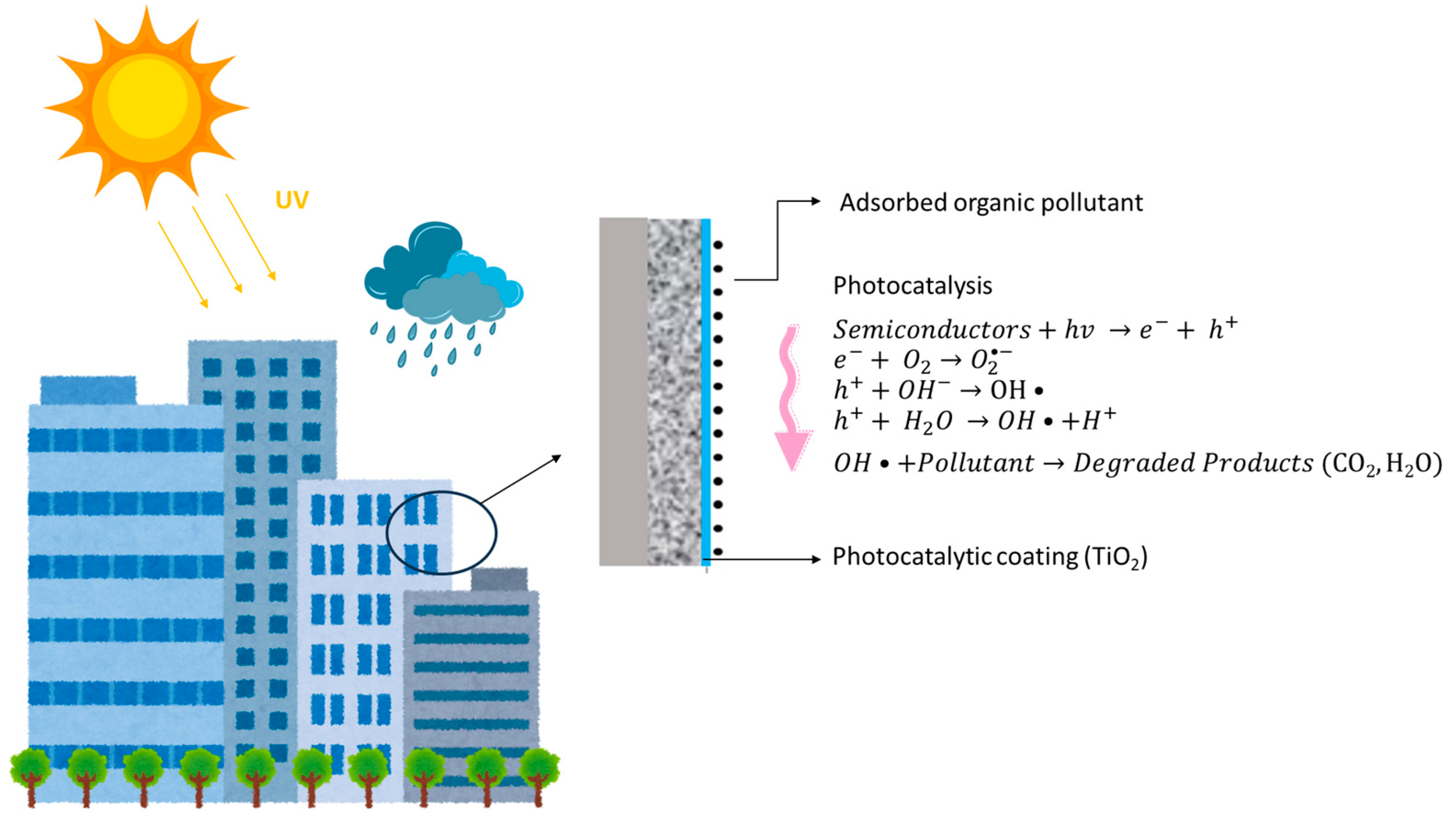 Catalysts 15 00201 g001
