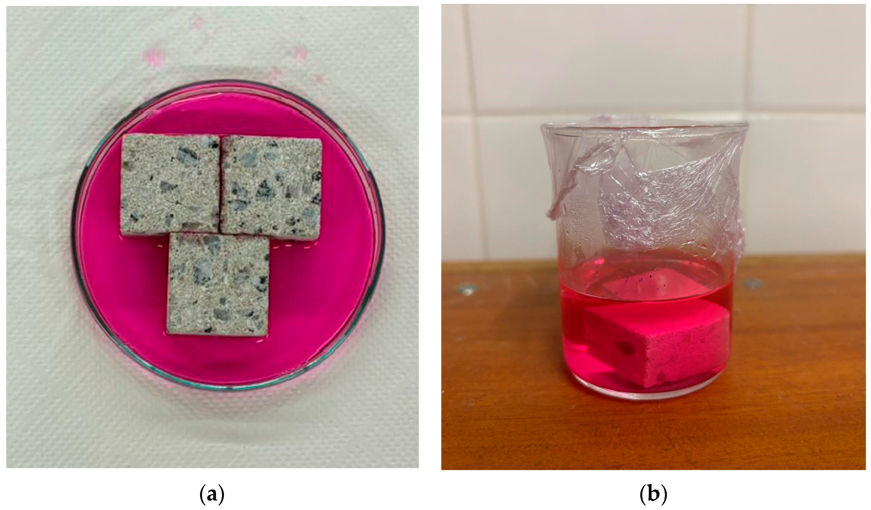 Catalysts 15 00201 g009