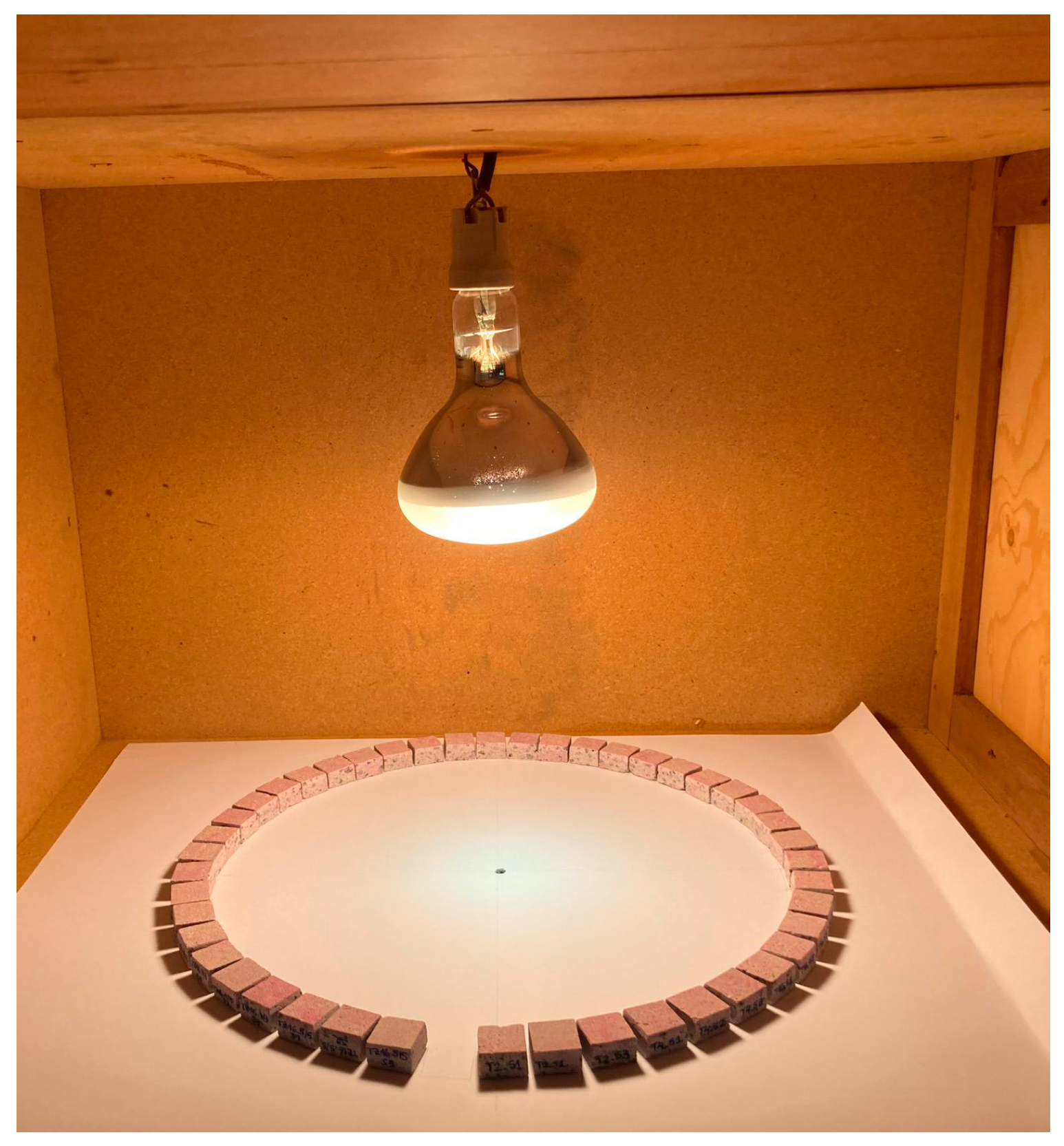 Catalysts 15 00201 g011