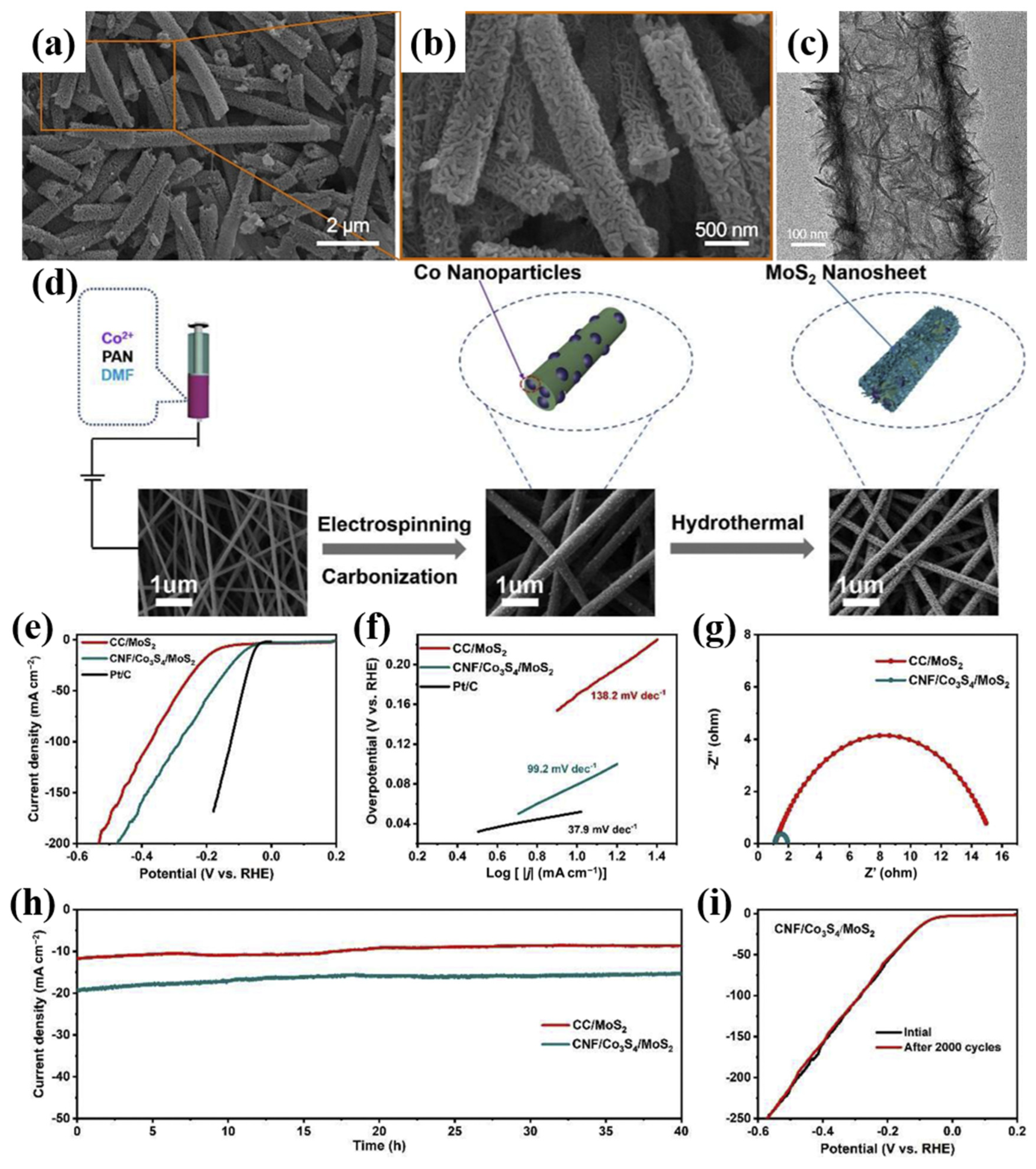 Catalysts 15 00205 g004
