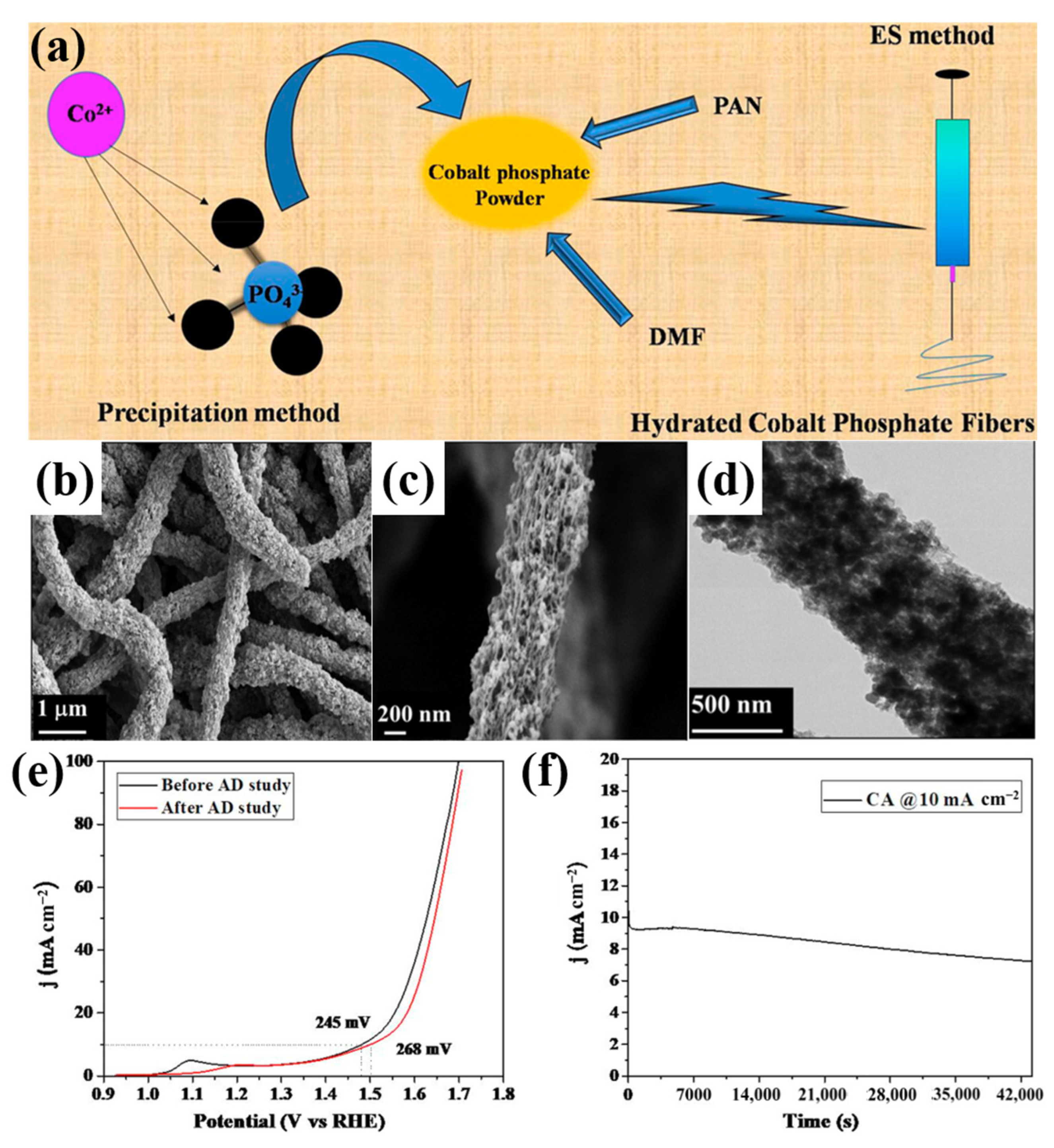 Catalysts 15 00205 g005
