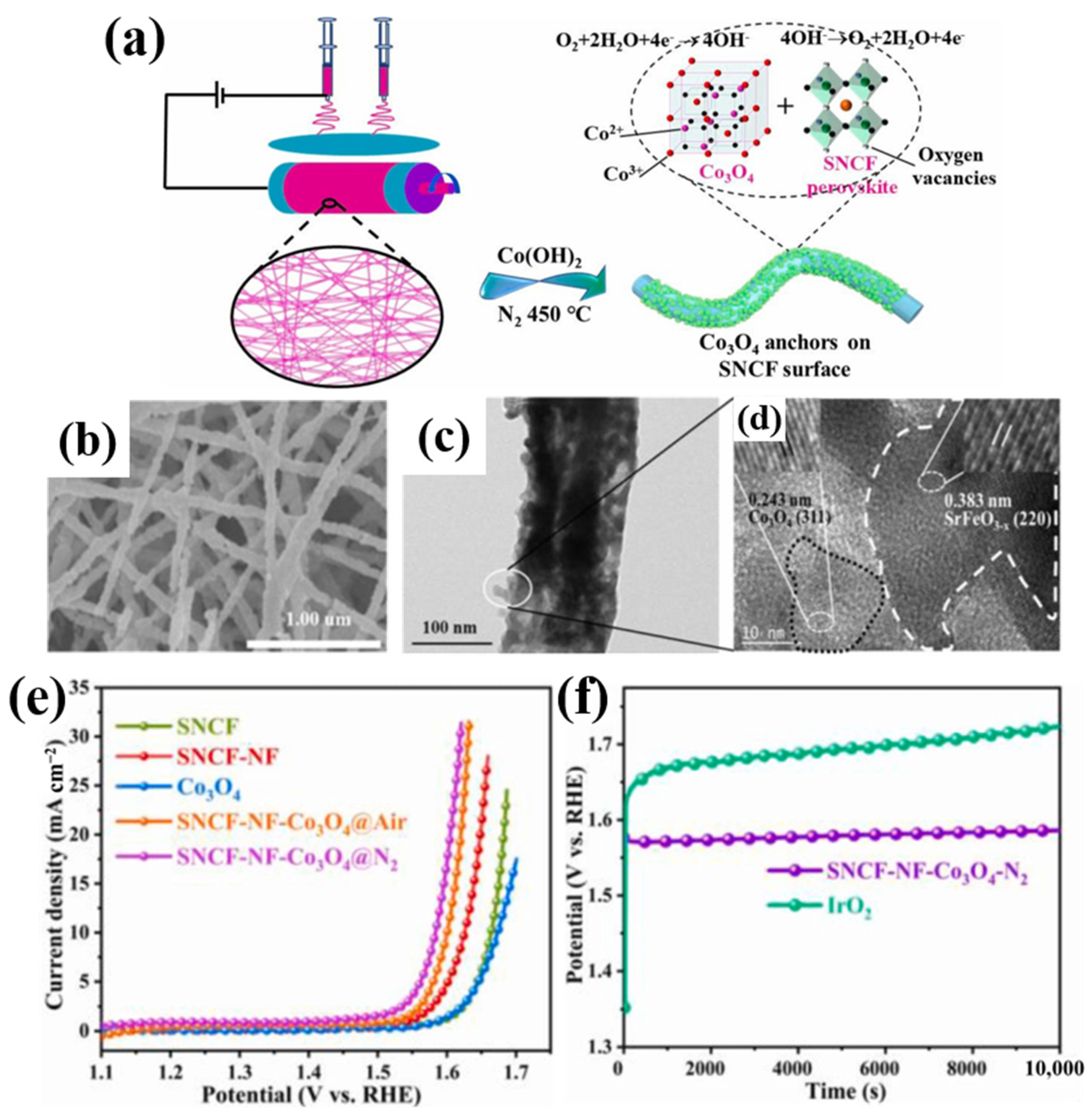 Catalysts 15 00205 g008