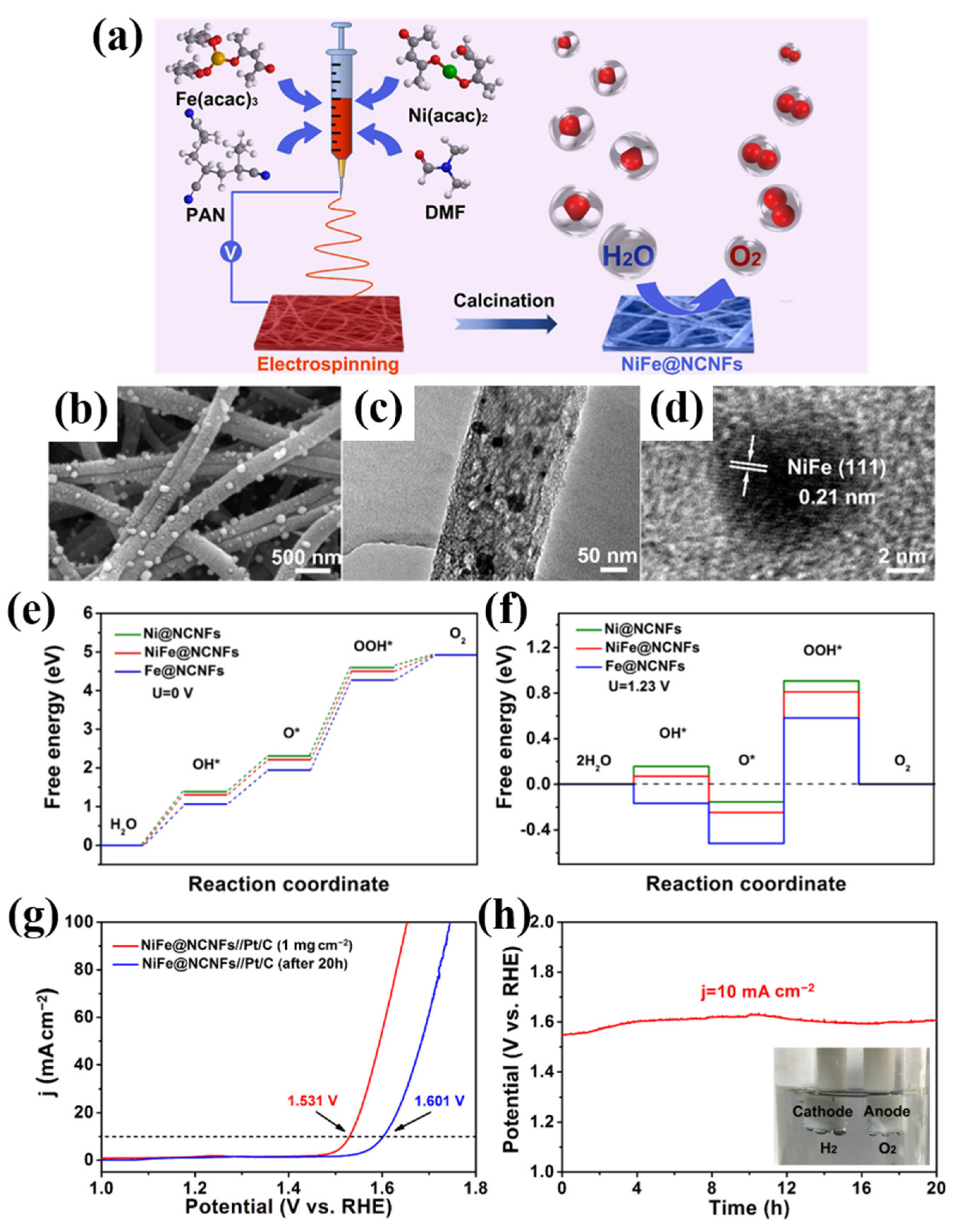 Catalysts 15 00205 g009