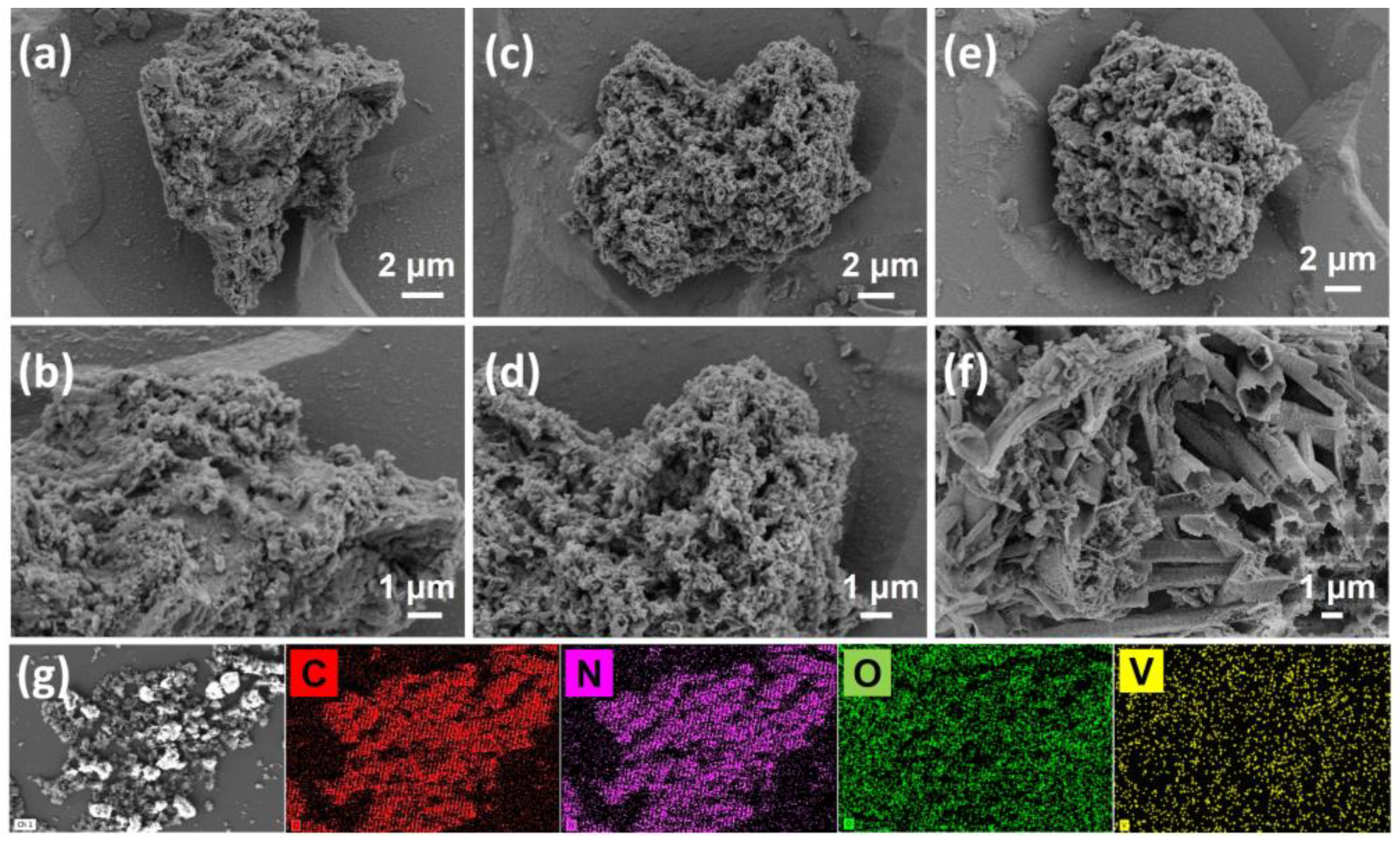 Catalysts 15 00206 g002