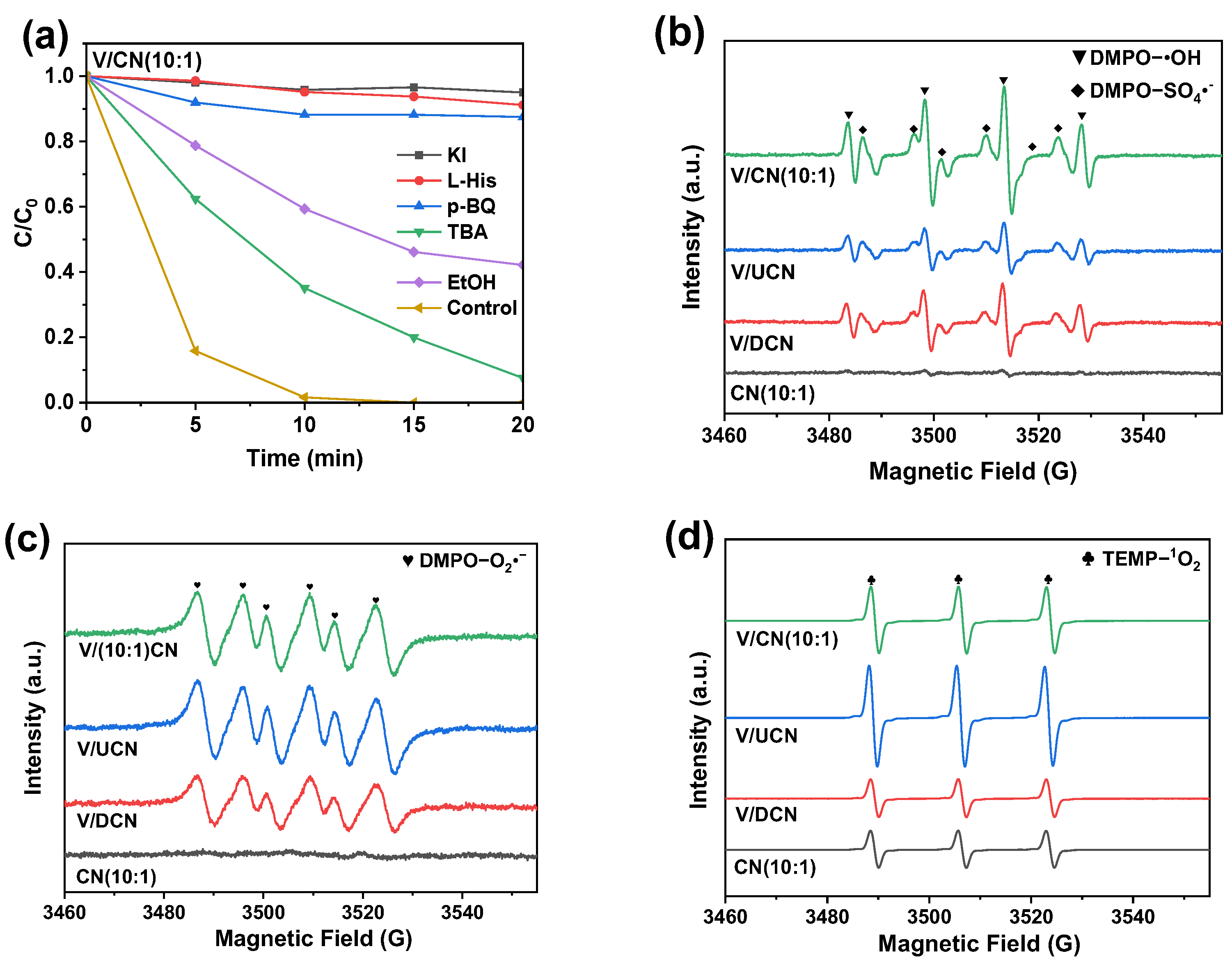 Catalysts 15 00206 g010