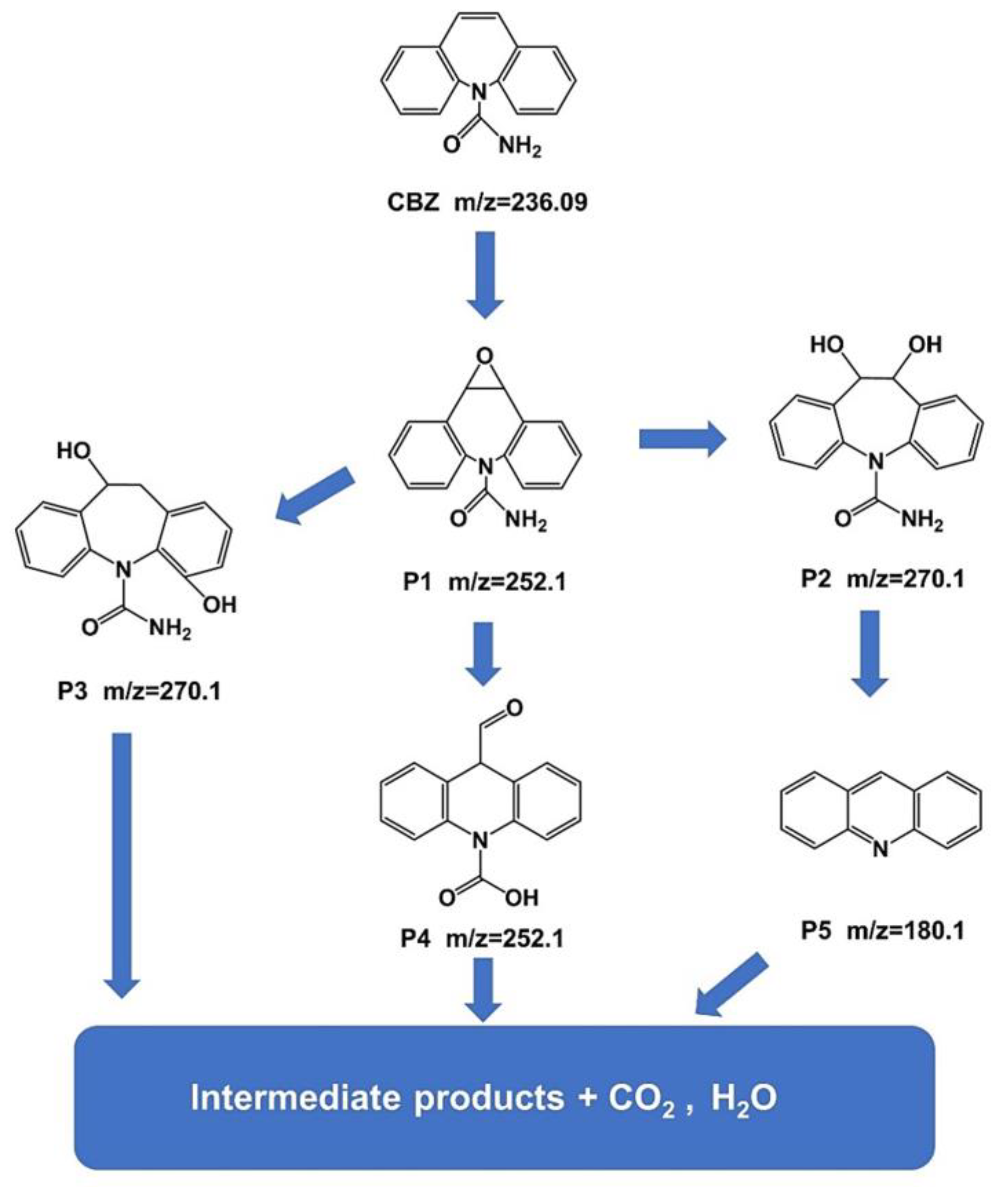 Catalysts 15 00206 g011