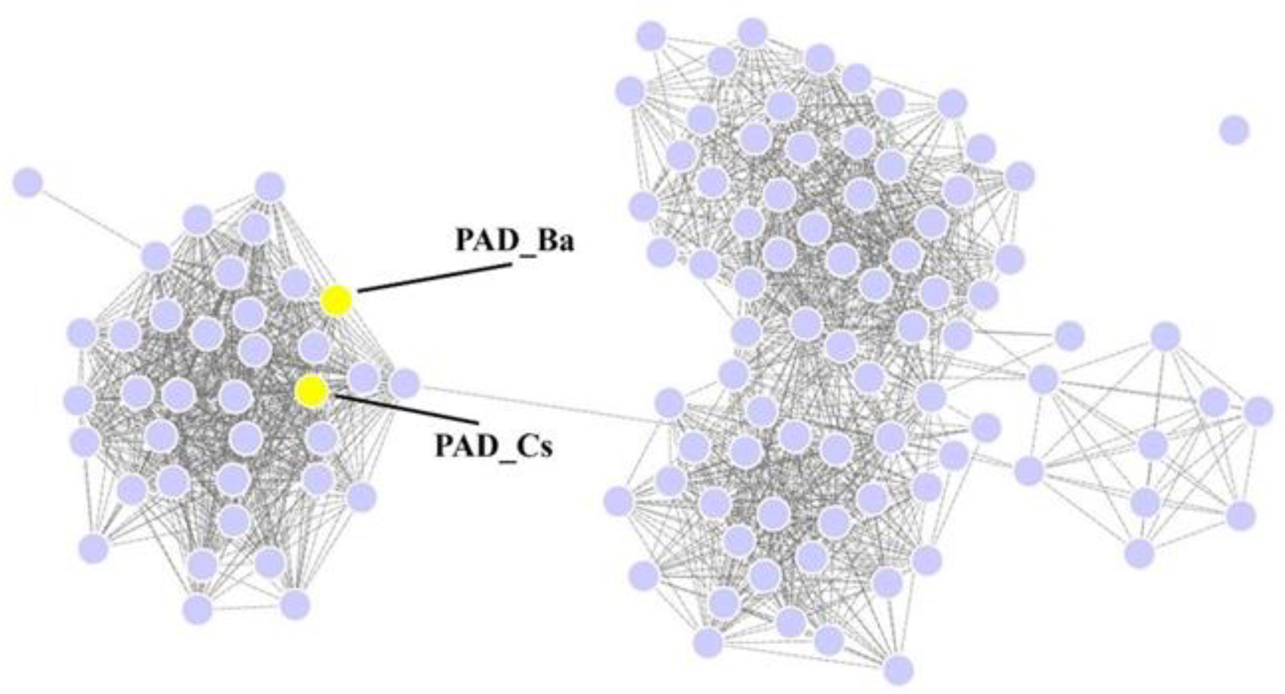 Catalysts 15 00210 g001