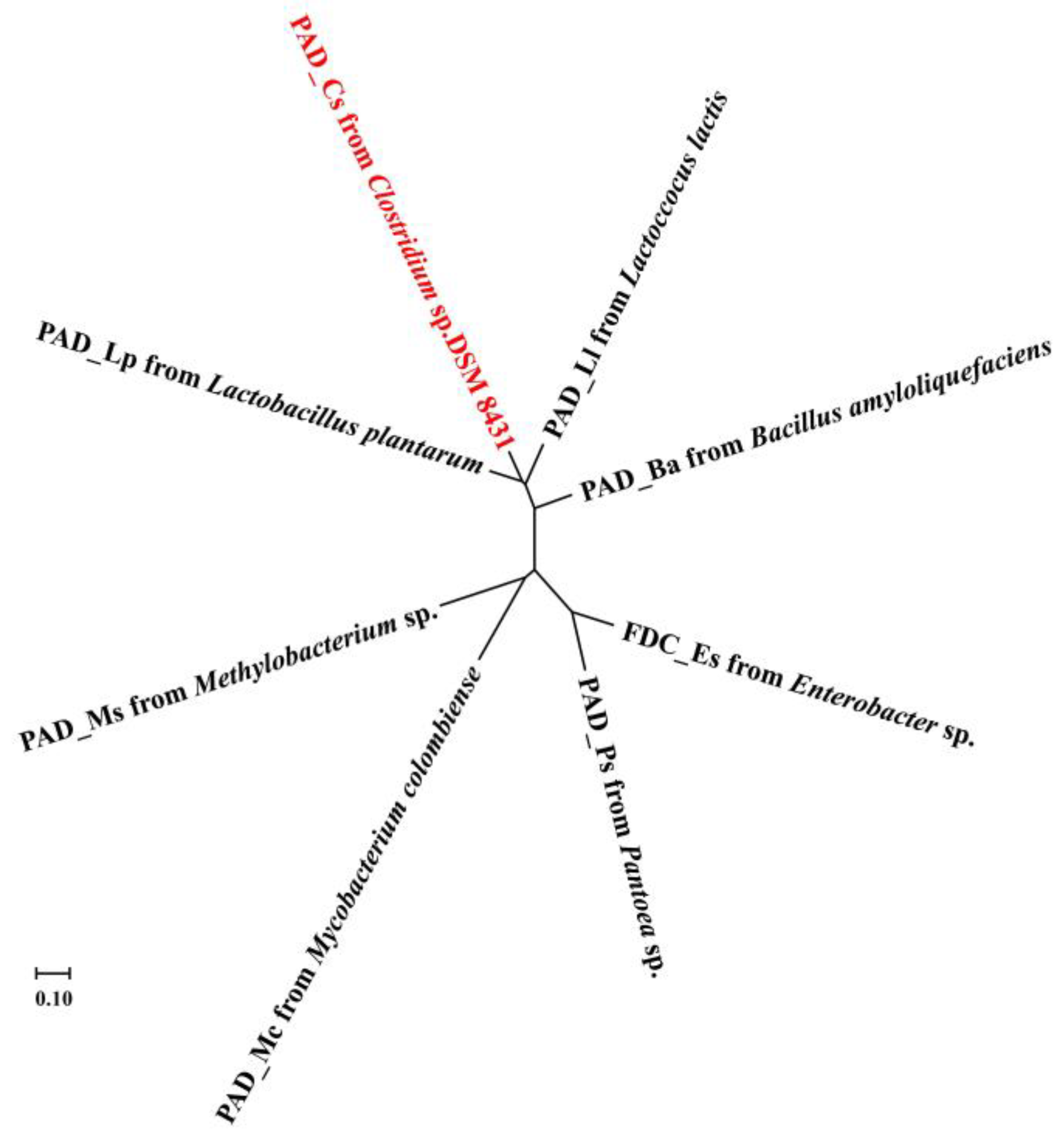 Catalysts 15 00210 g002