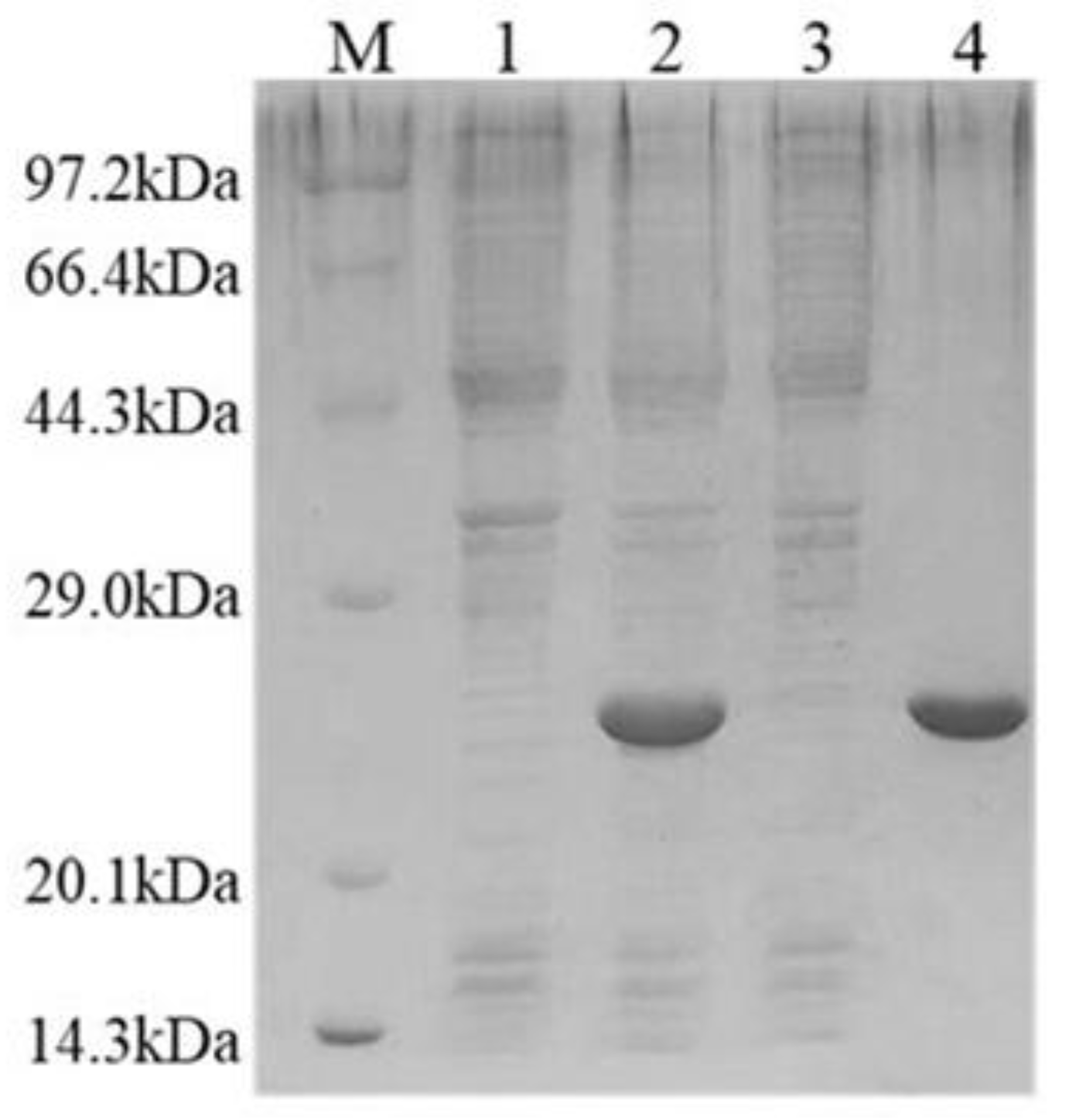 Catalysts 15 00210 g003