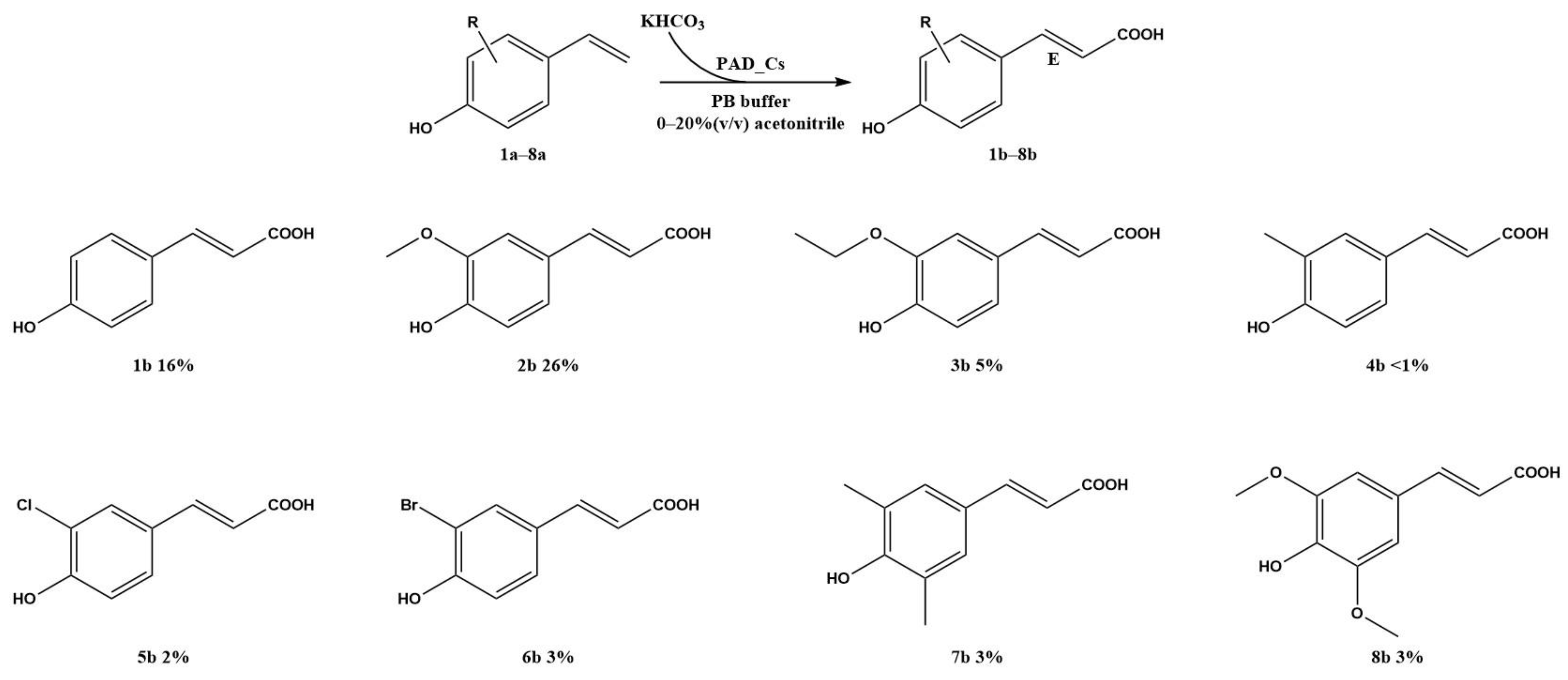 Catalysts 15 00210 g007