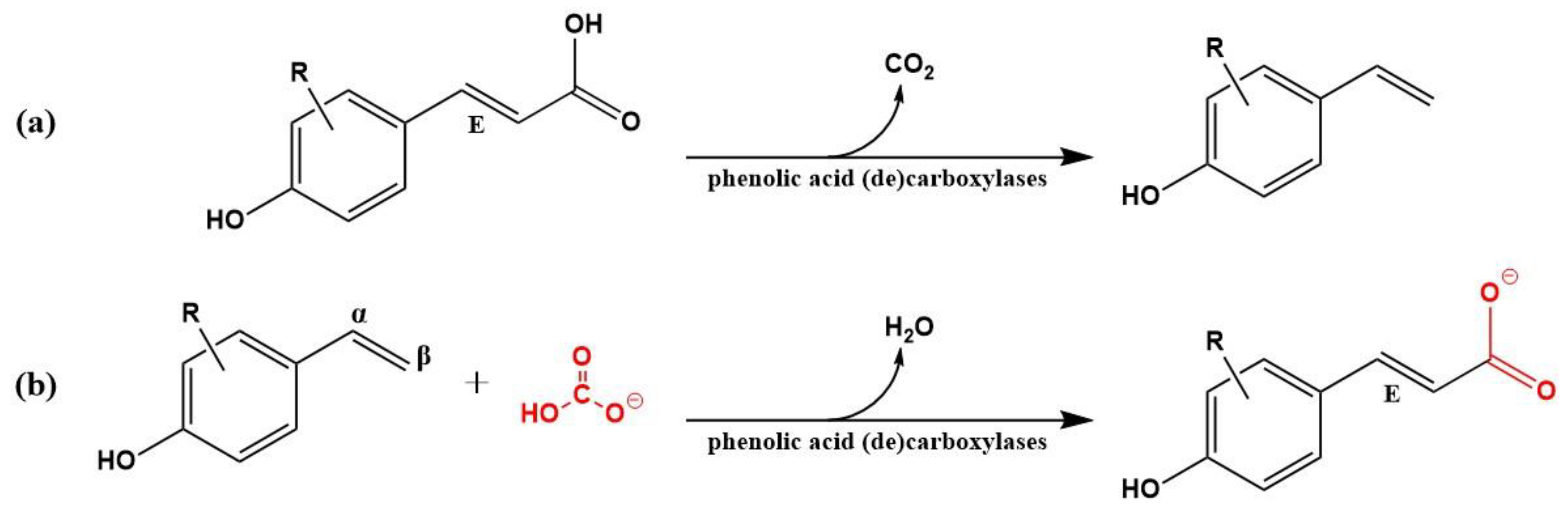 Catalysts 15 00210 sch001
