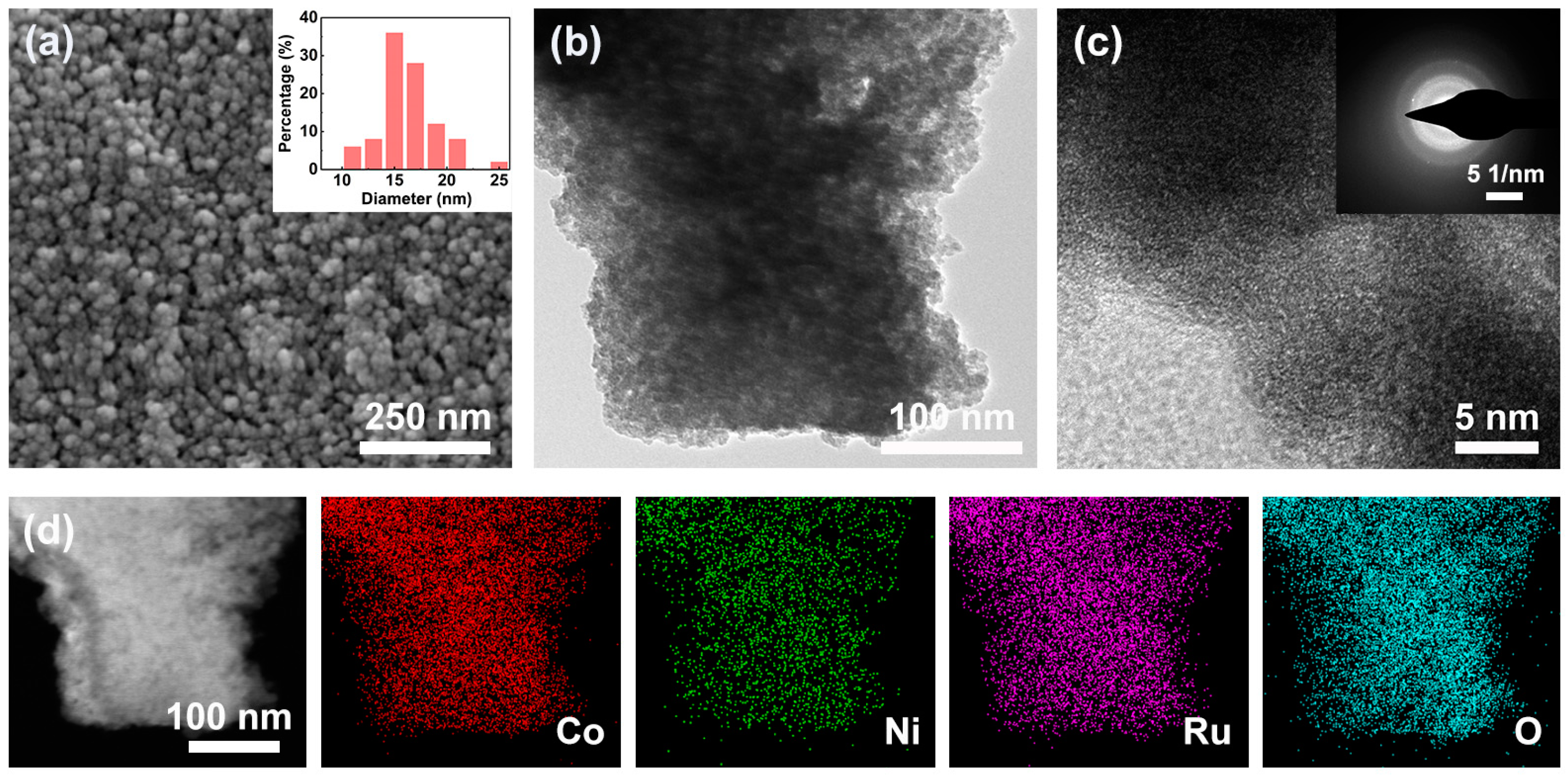 Catalysts 15 00211 g001