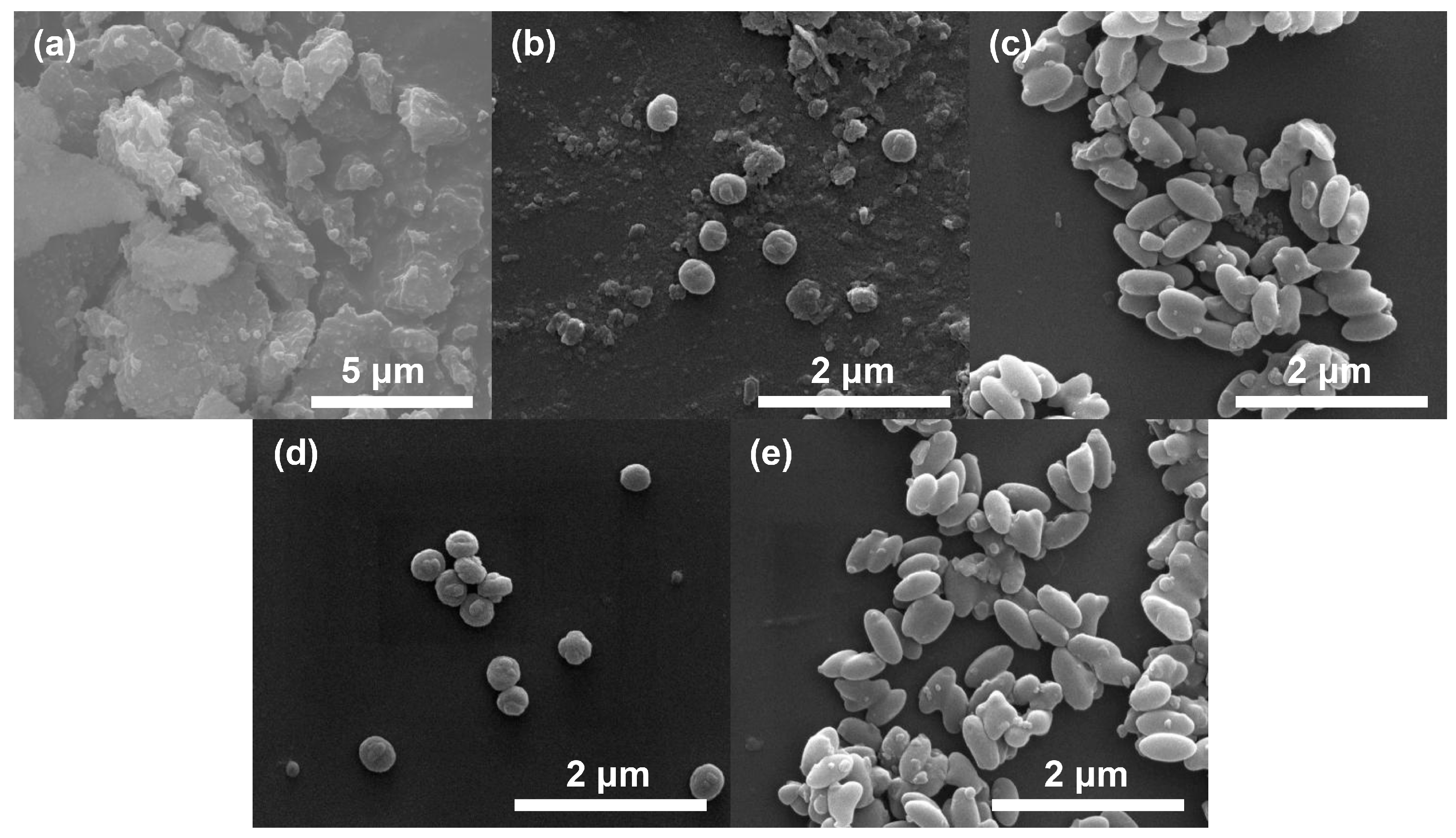 Catalysts 15 00212 g002