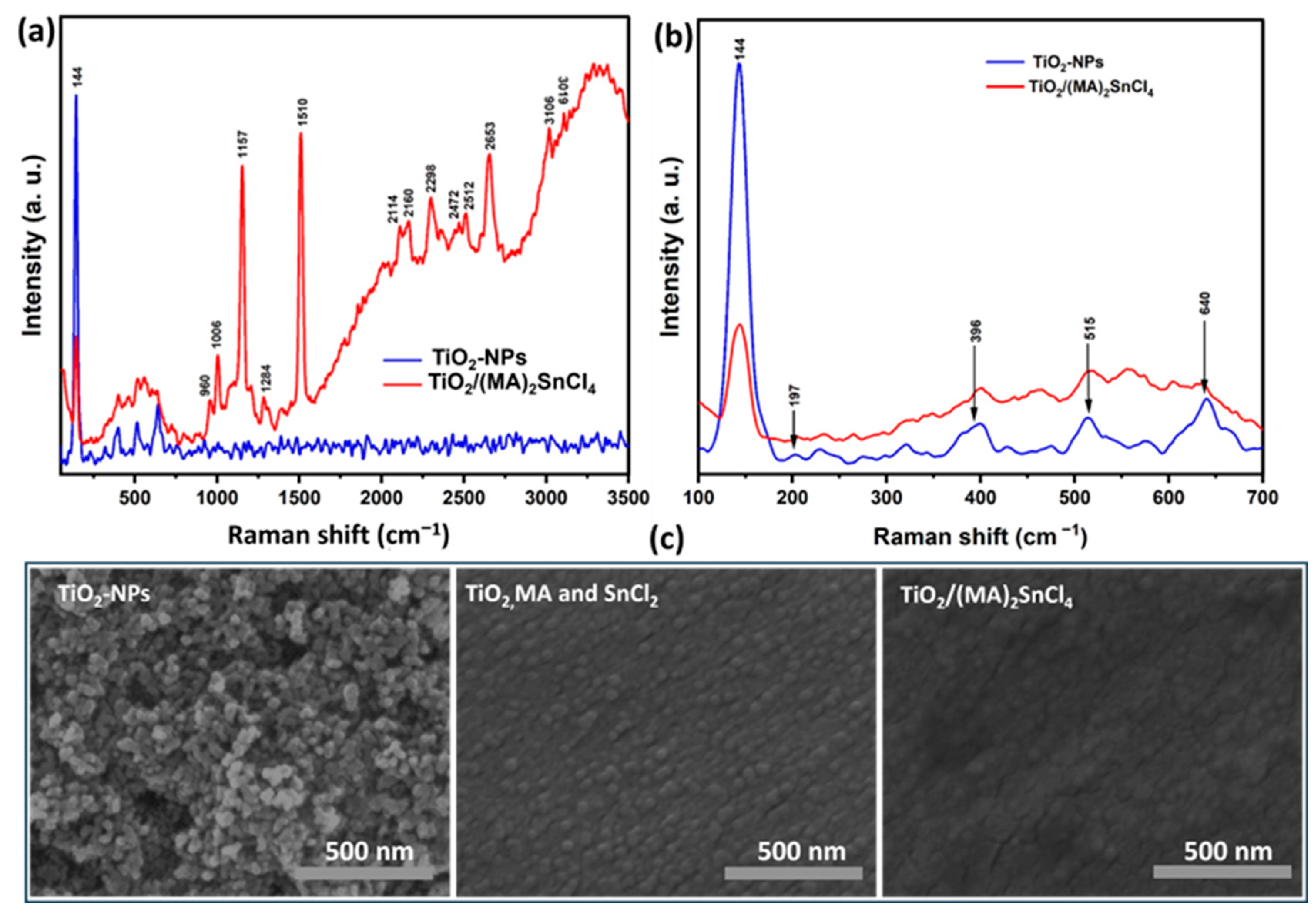 Catalysts 15 00214 g001