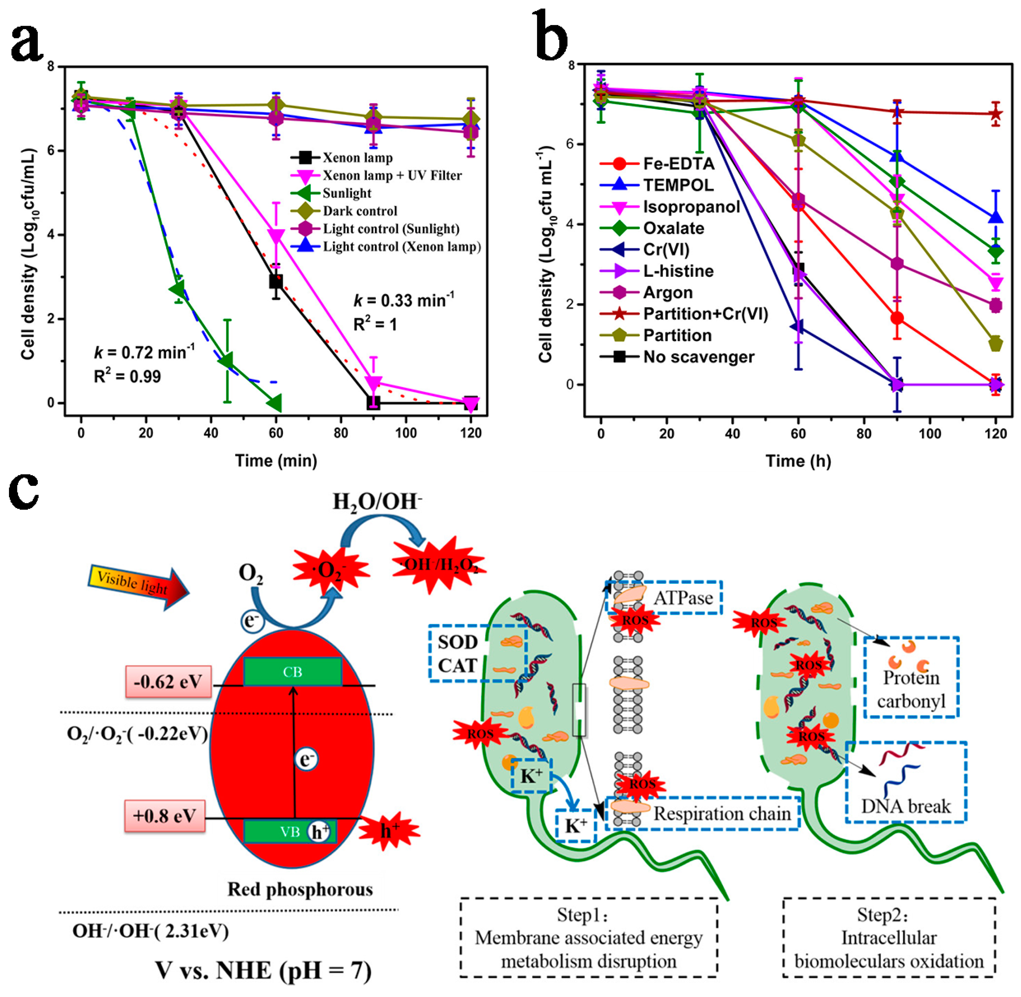 Catalysts 15 00218 g002