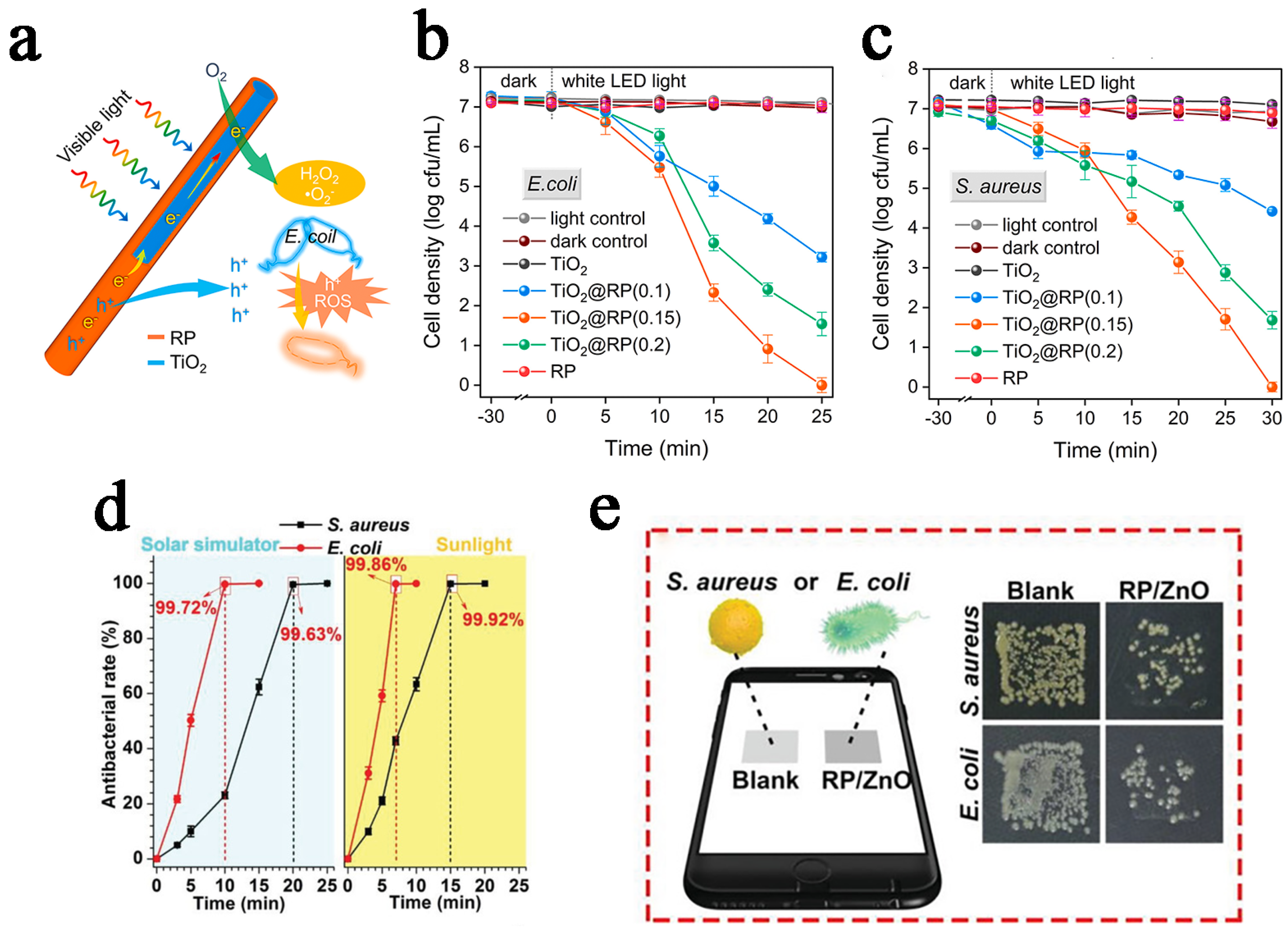 Catalysts 15 00218 g004