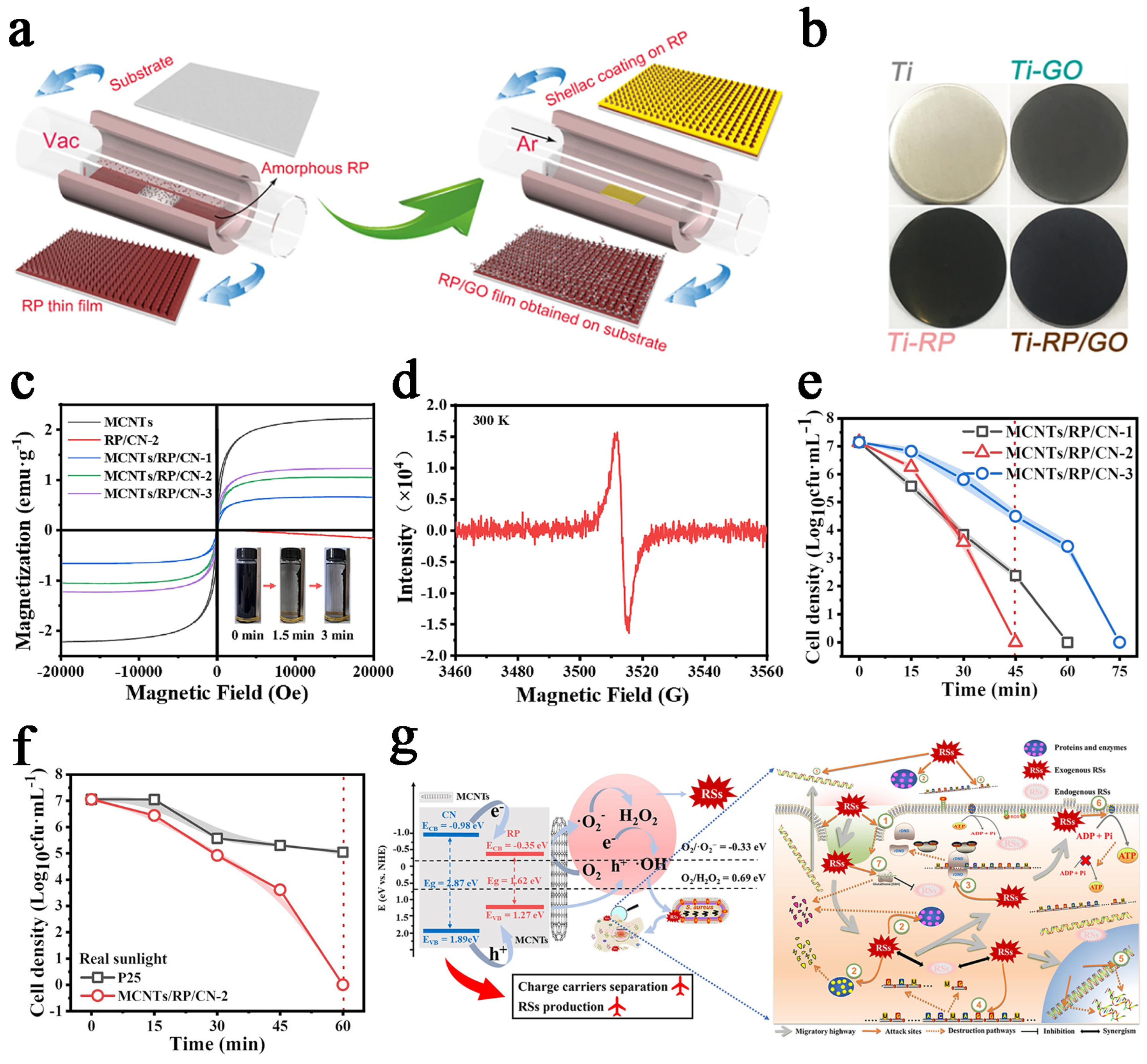 Catalysts 15 00218 g005