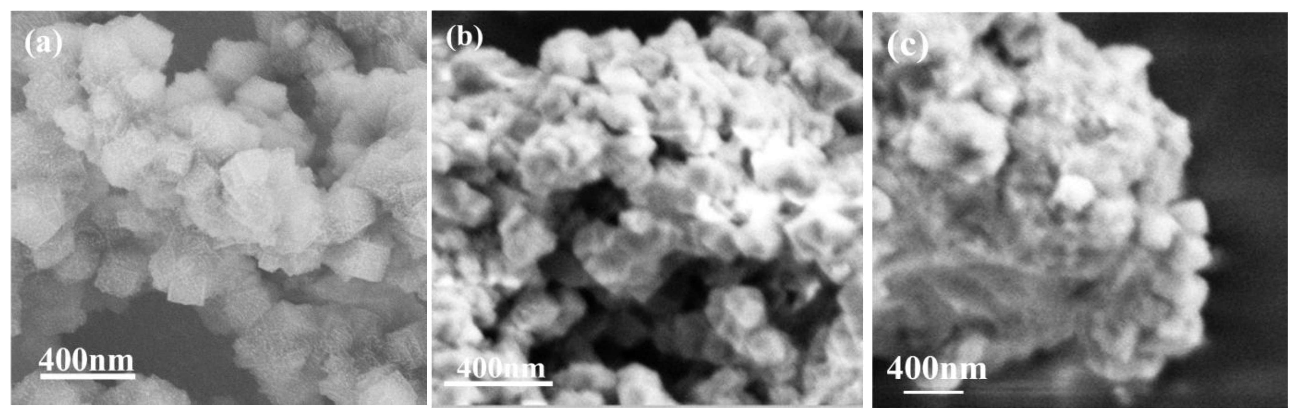 Catalysts 15 00220 g005