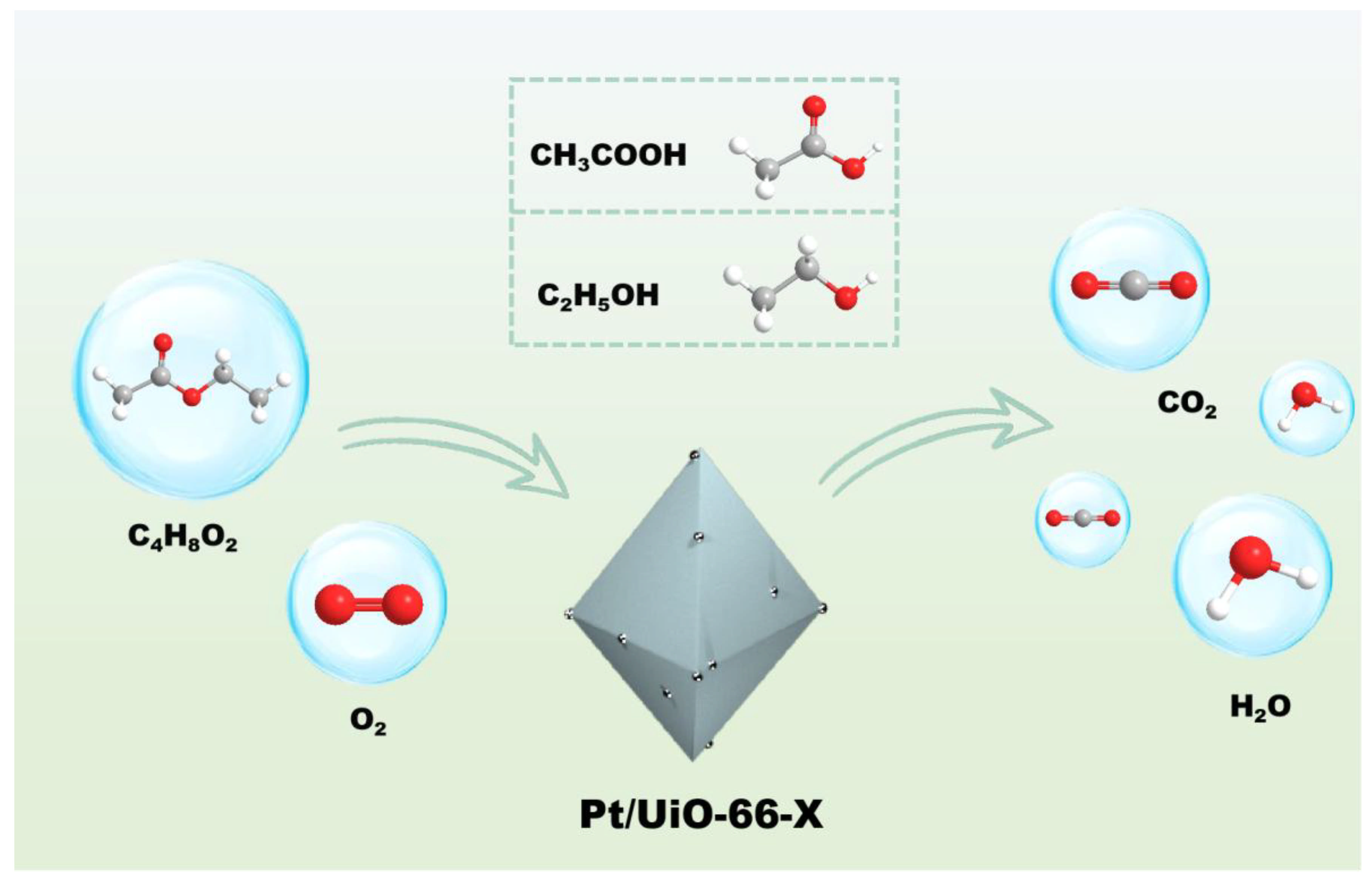Catalysts 15 00220 g013