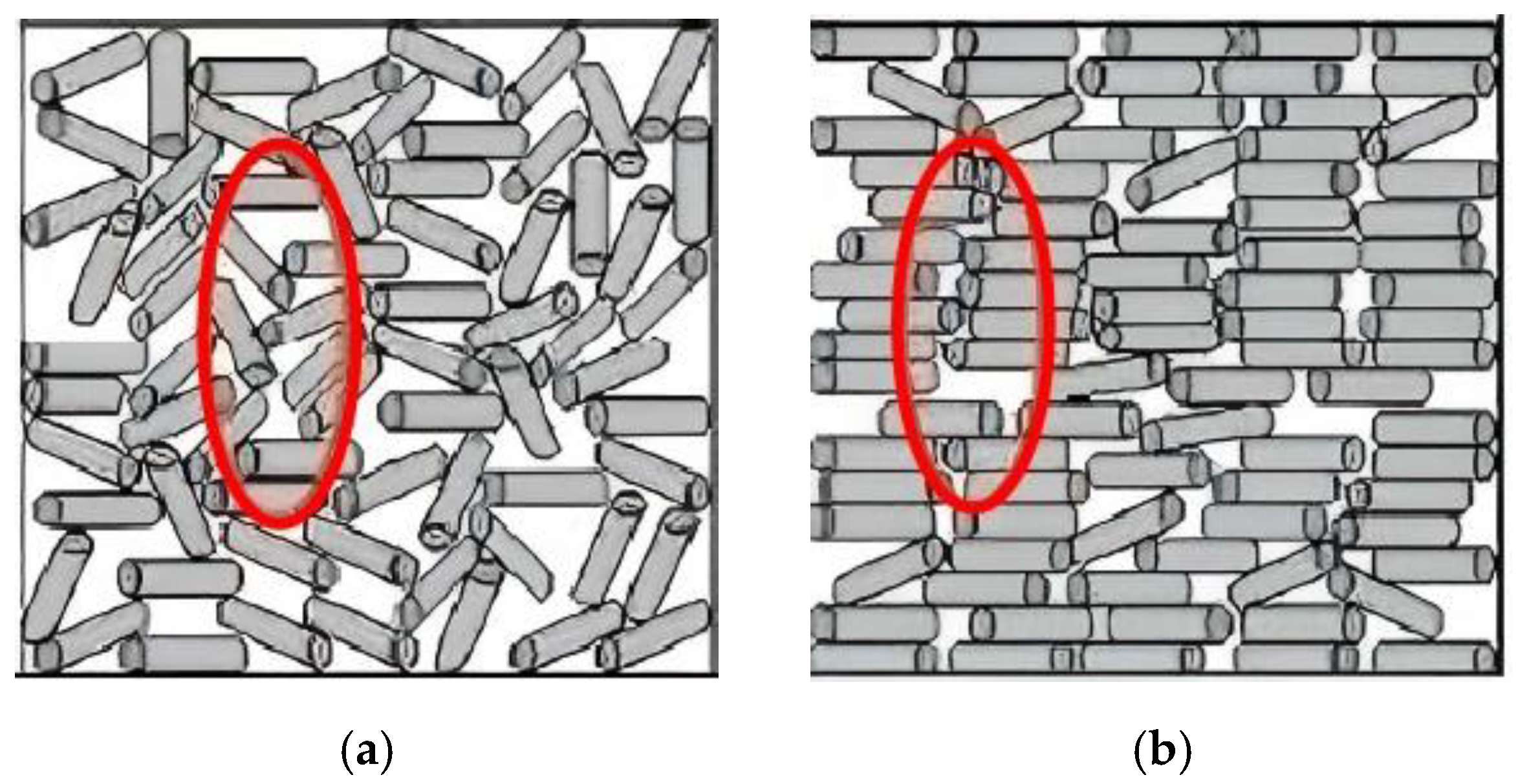 Catalysts 15 00222 g001