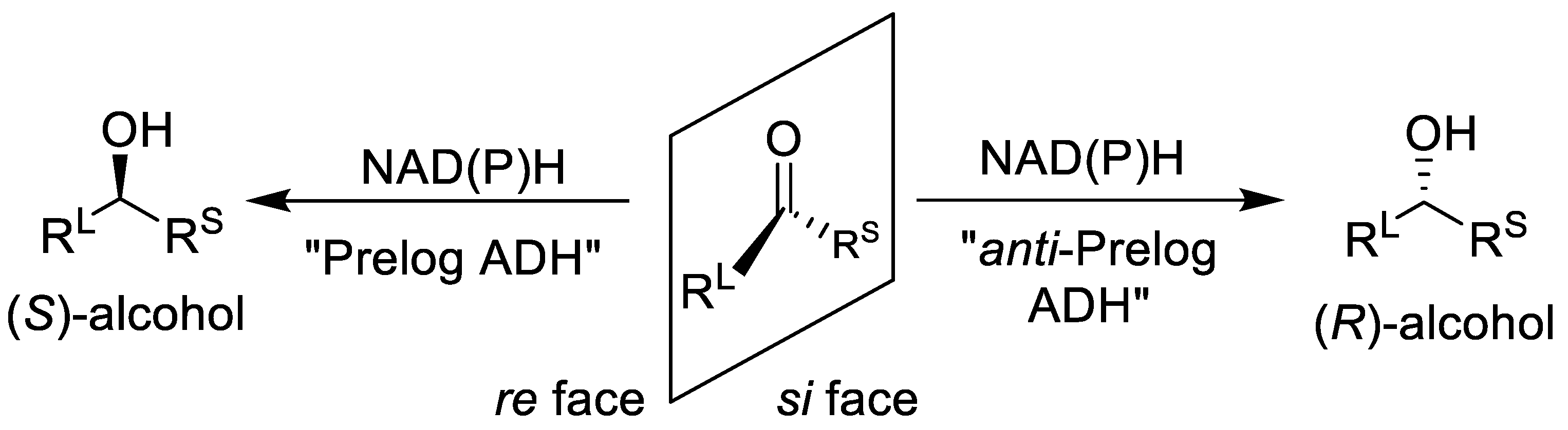 Catalysts 15 00223 g001