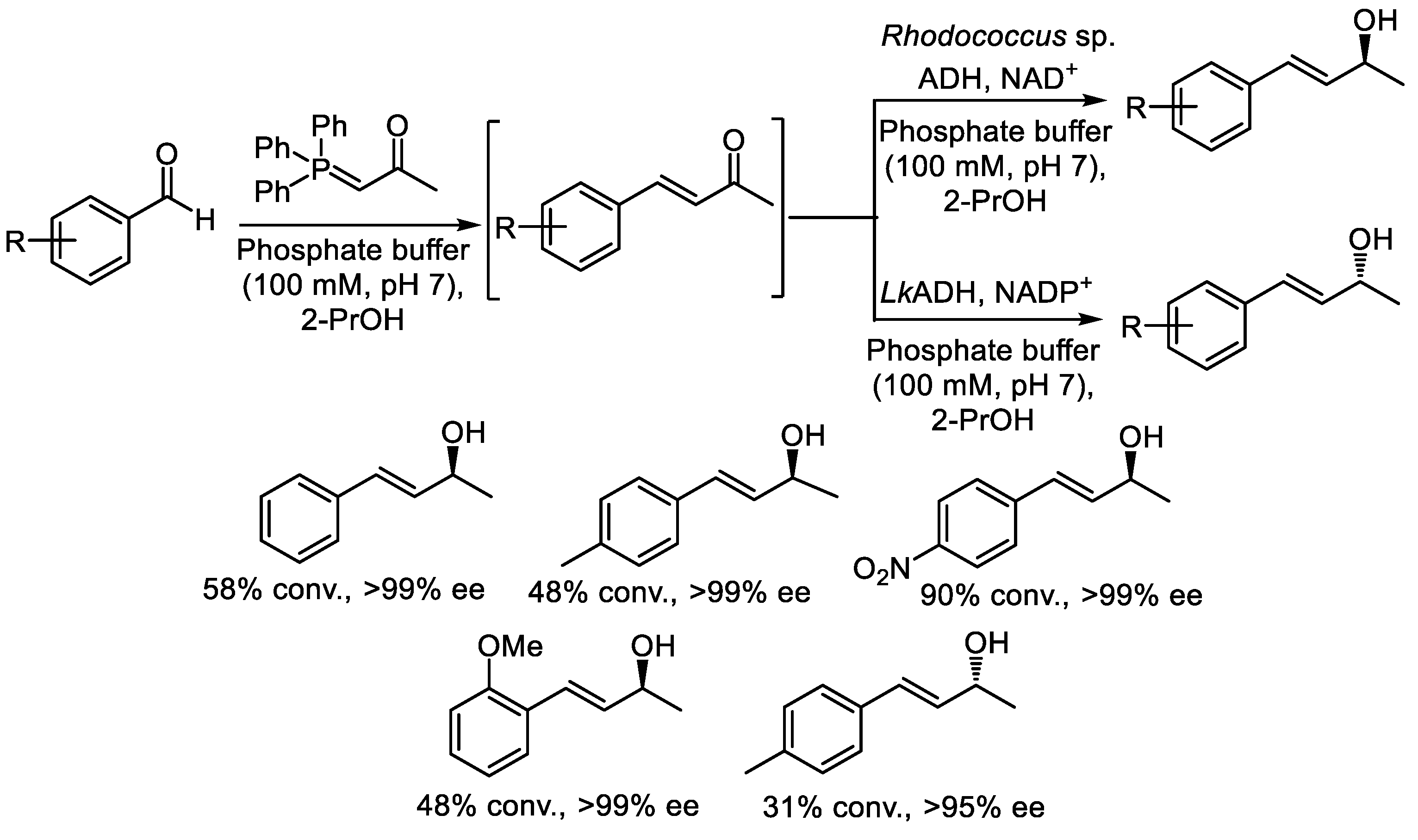 Catalysts 15 00223 sch001