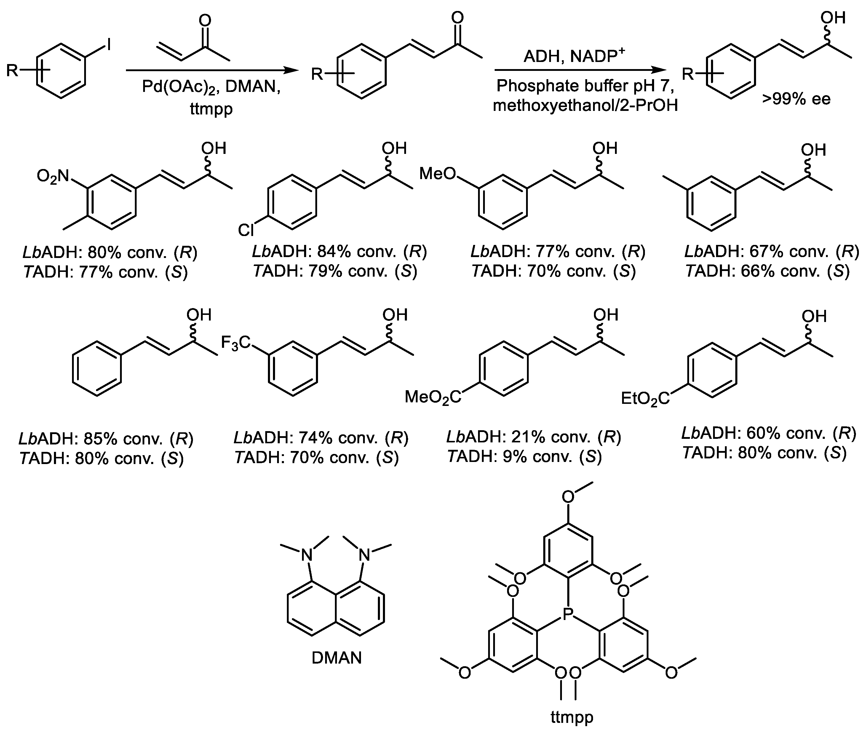 Catalysts 15 00223 sch002