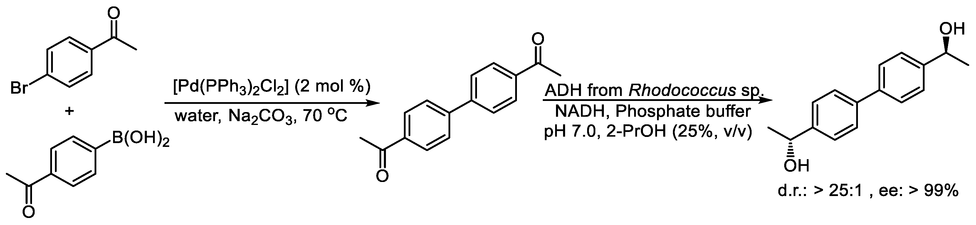 Catalysts 15 00223 sch004