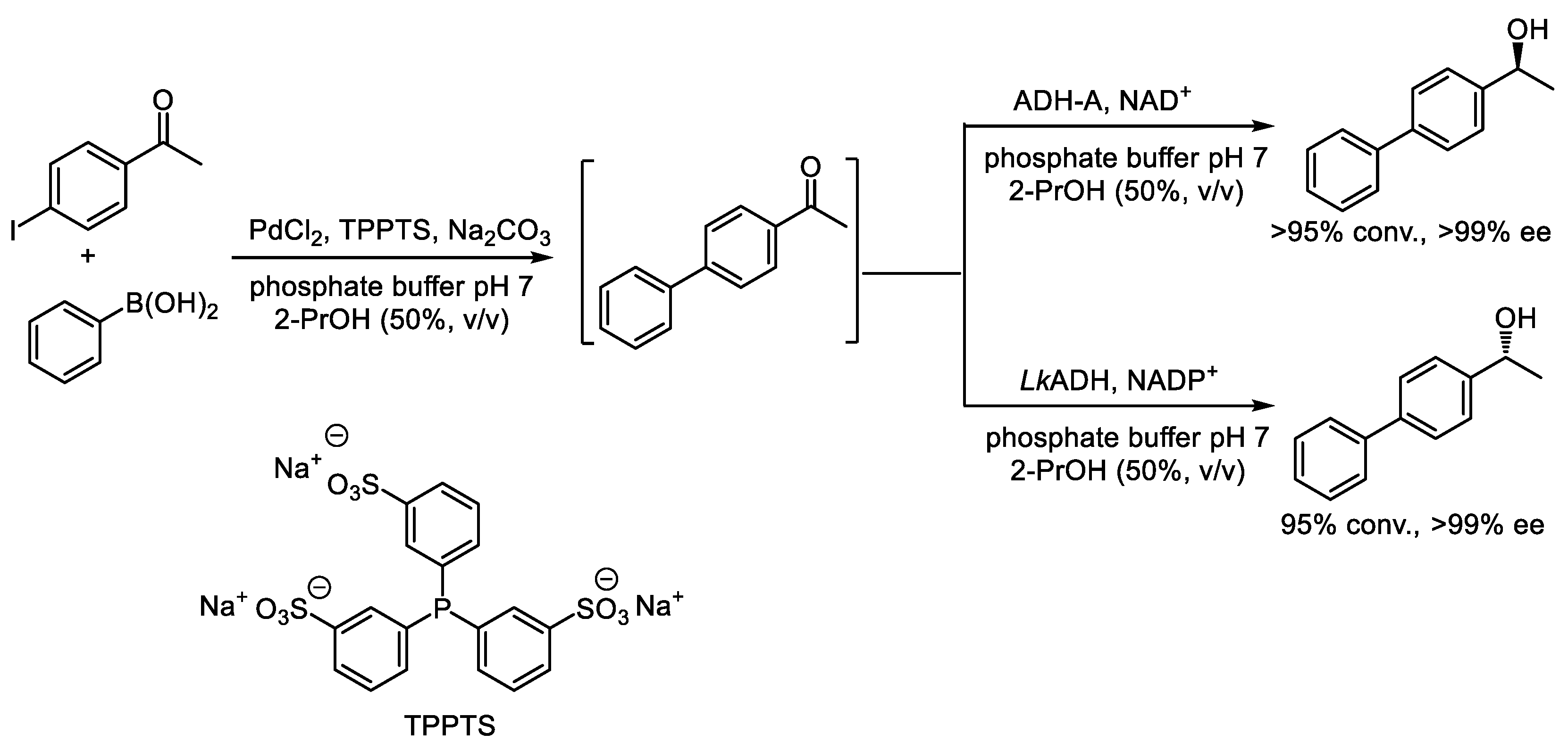 Catalysts 15 00223 sch005