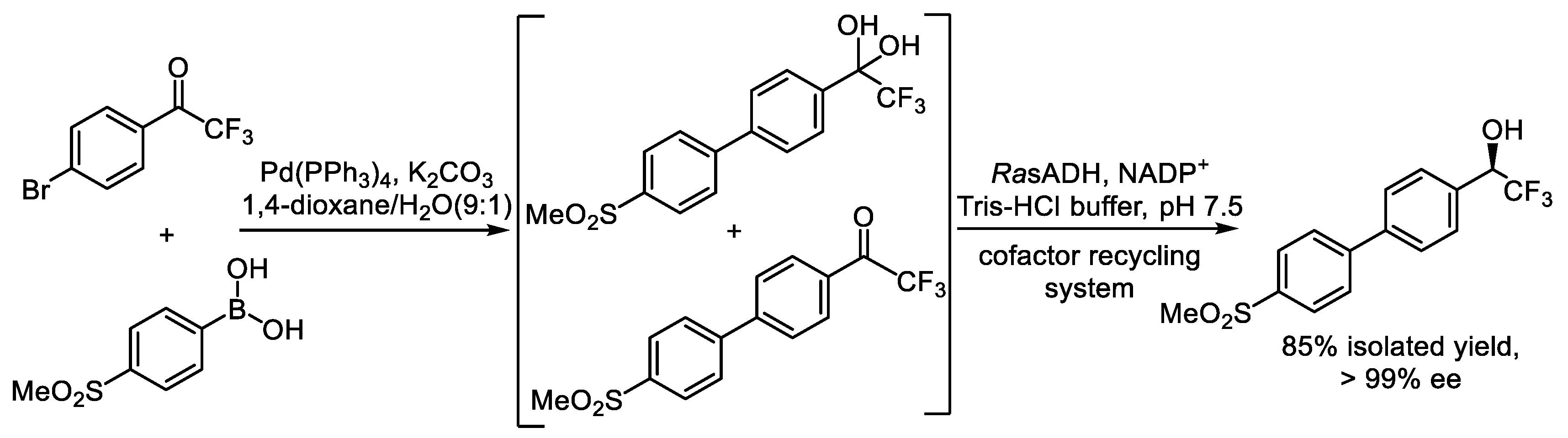 Catalysts 15 00223 sch006