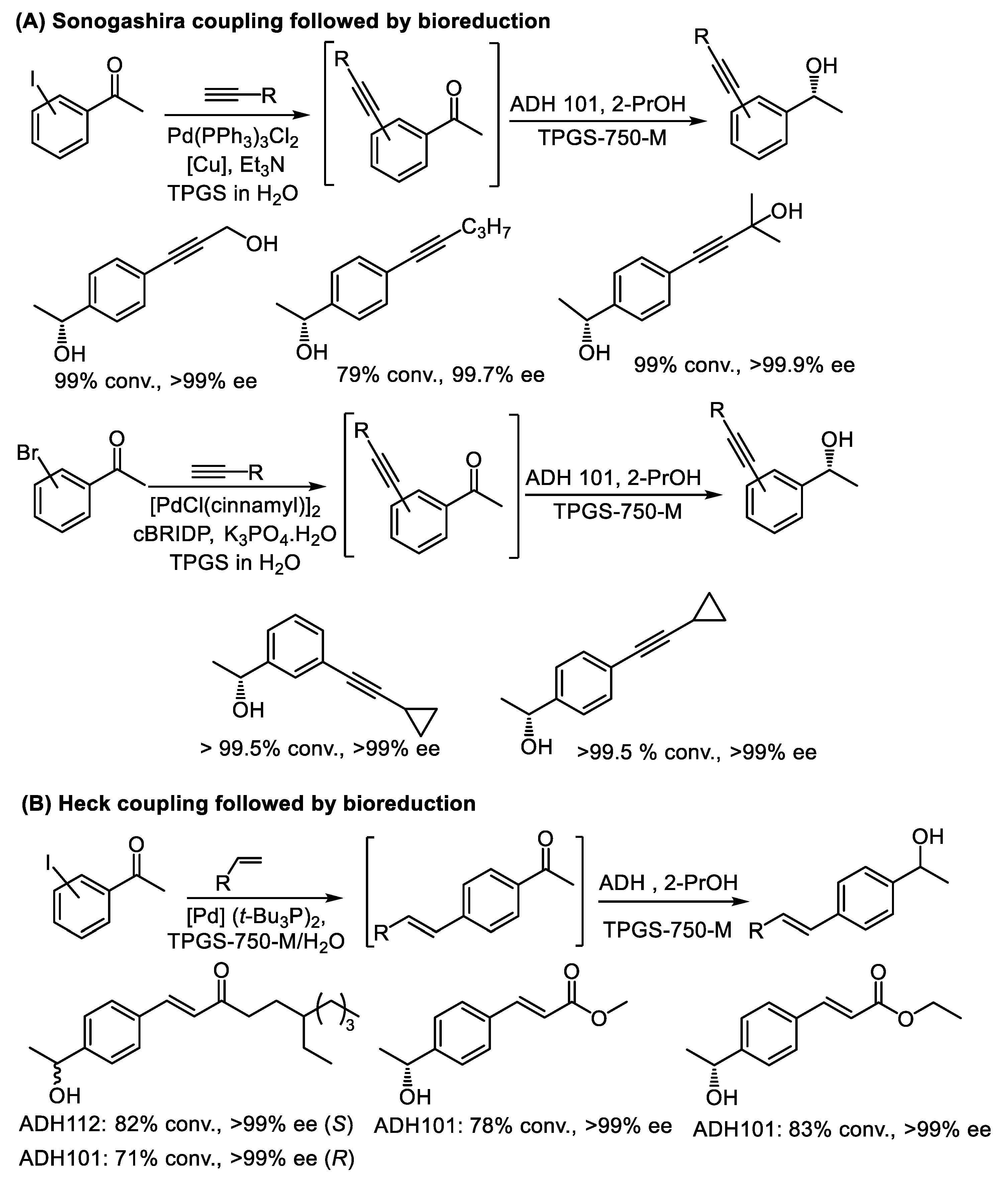 Catalysts 15 00223 sch010