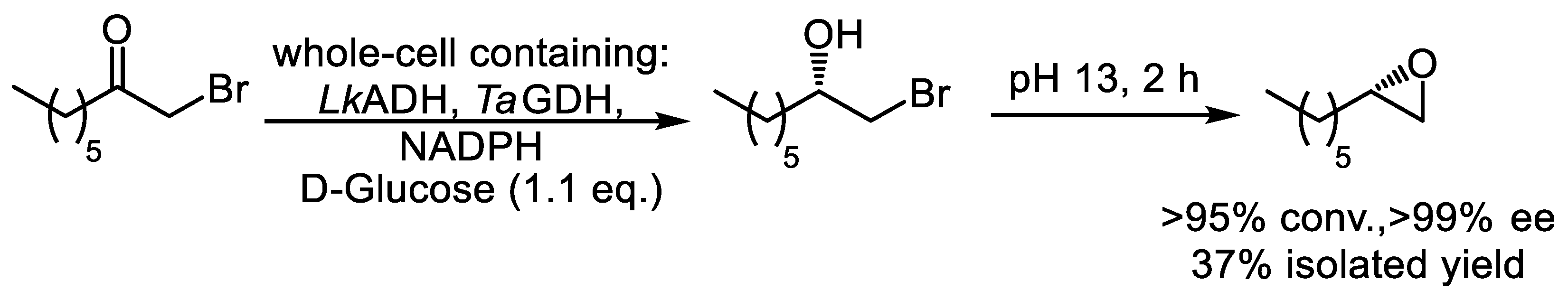 Catalysts 15 00223 sch013