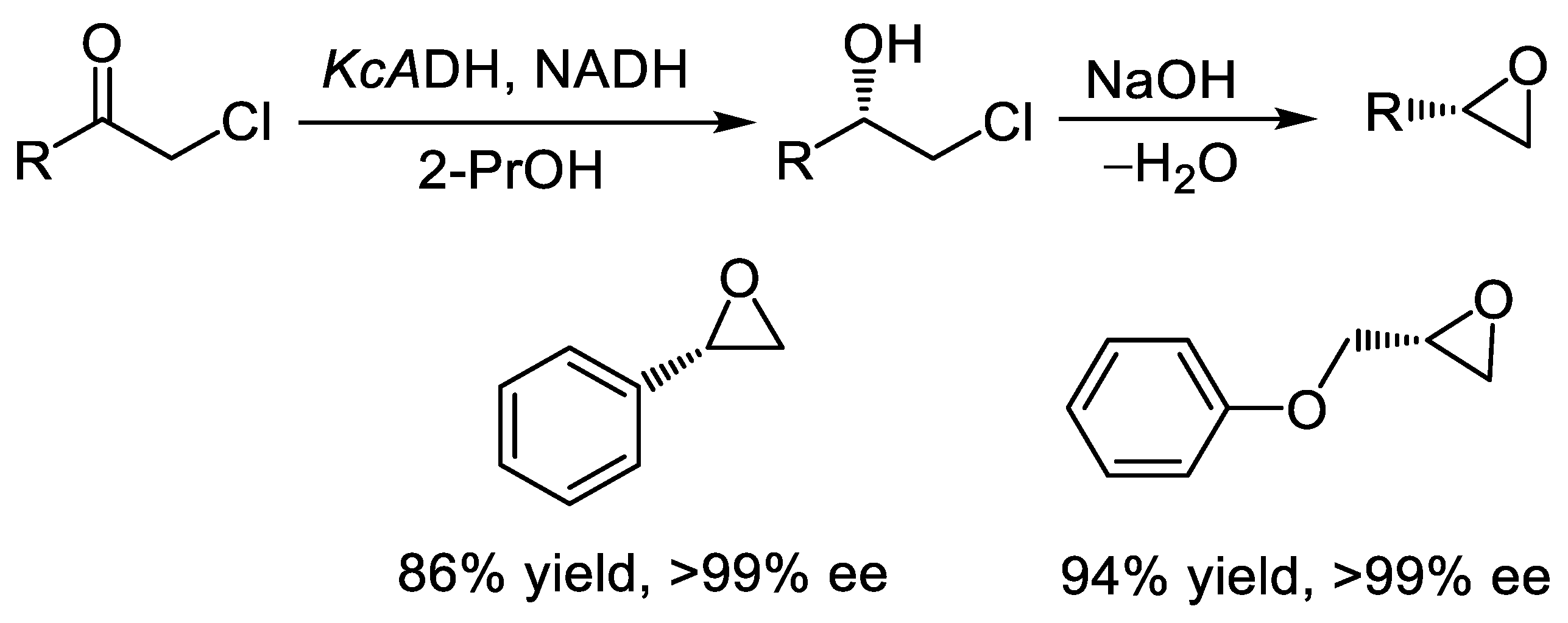 Catalysts 15 00223 sch014