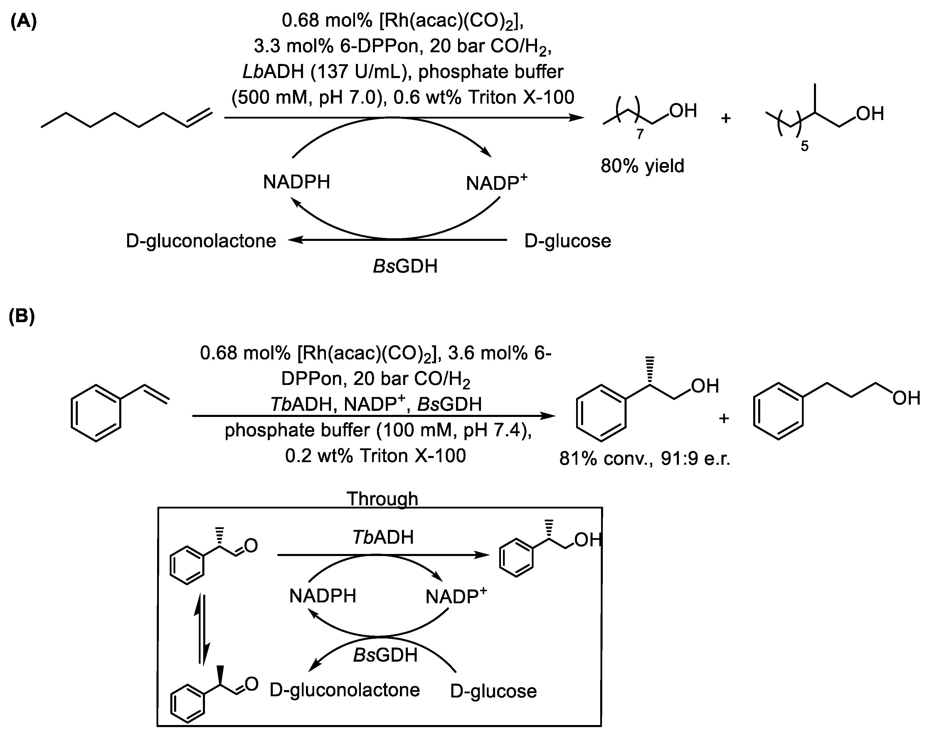 Catalysts 15 00223 sch018