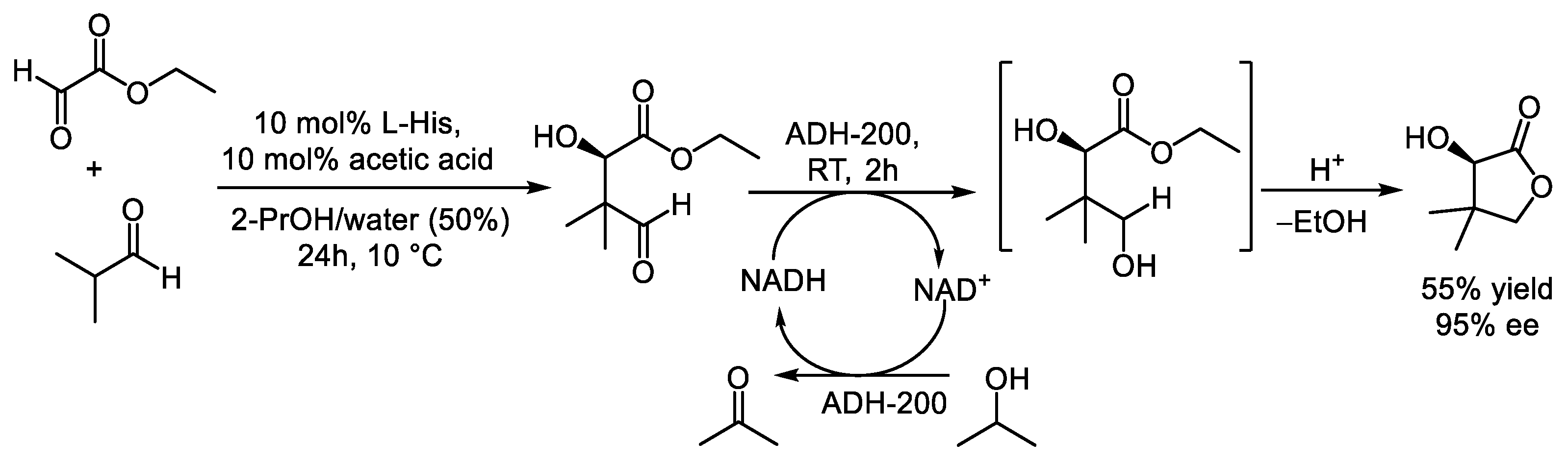 Catalysts 15 00223 sch020