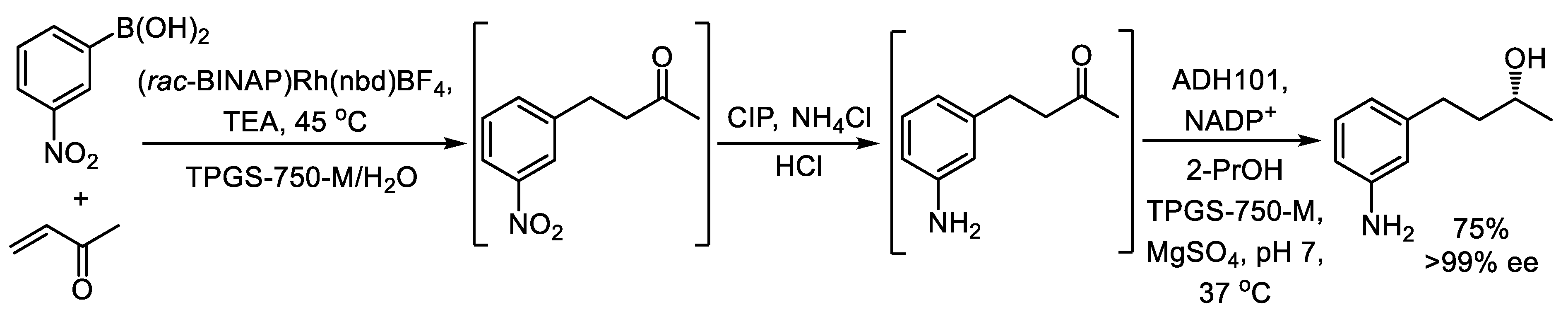 Catalysts 15 00223 sch021