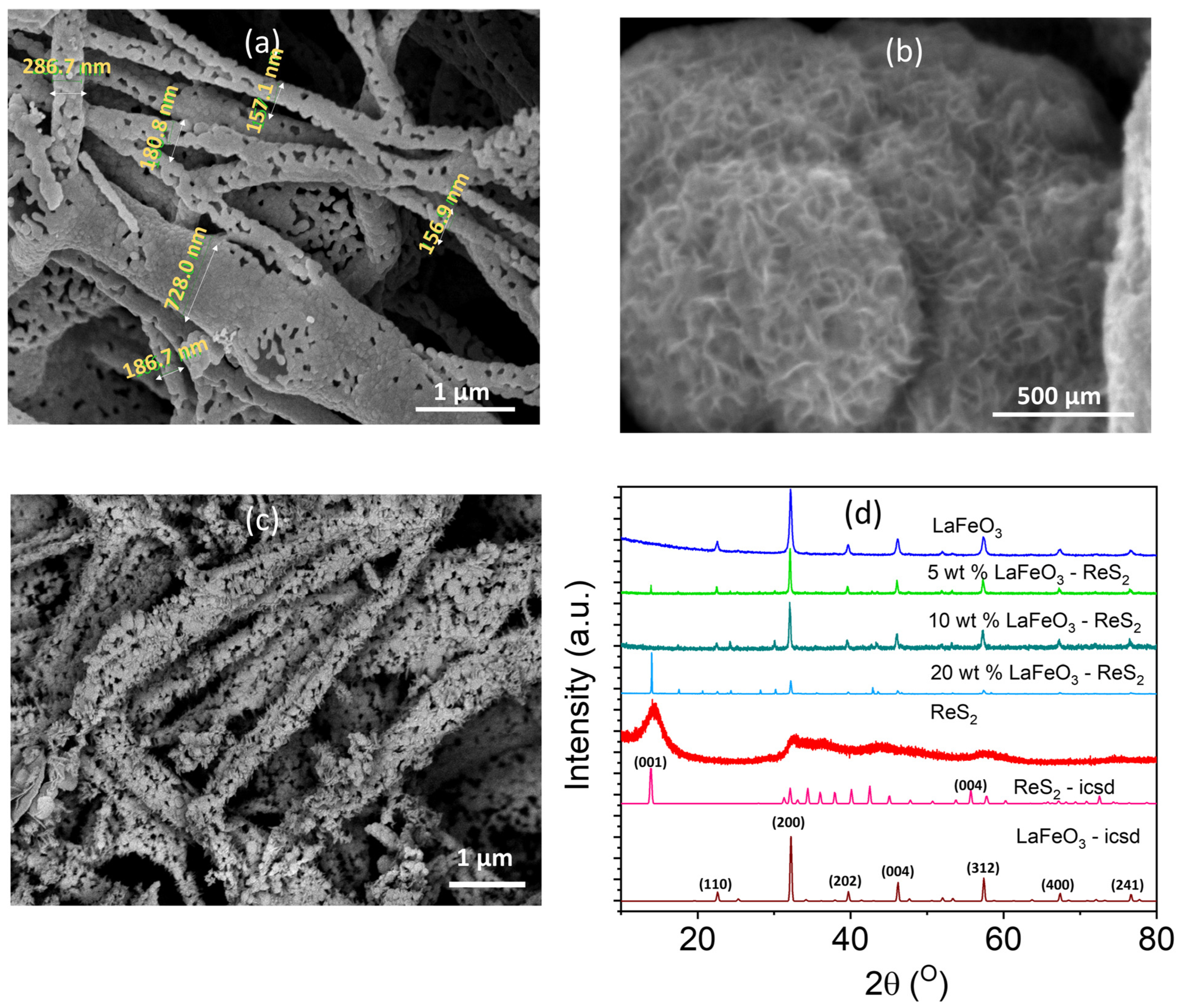 Catalysts 15 00224 g001