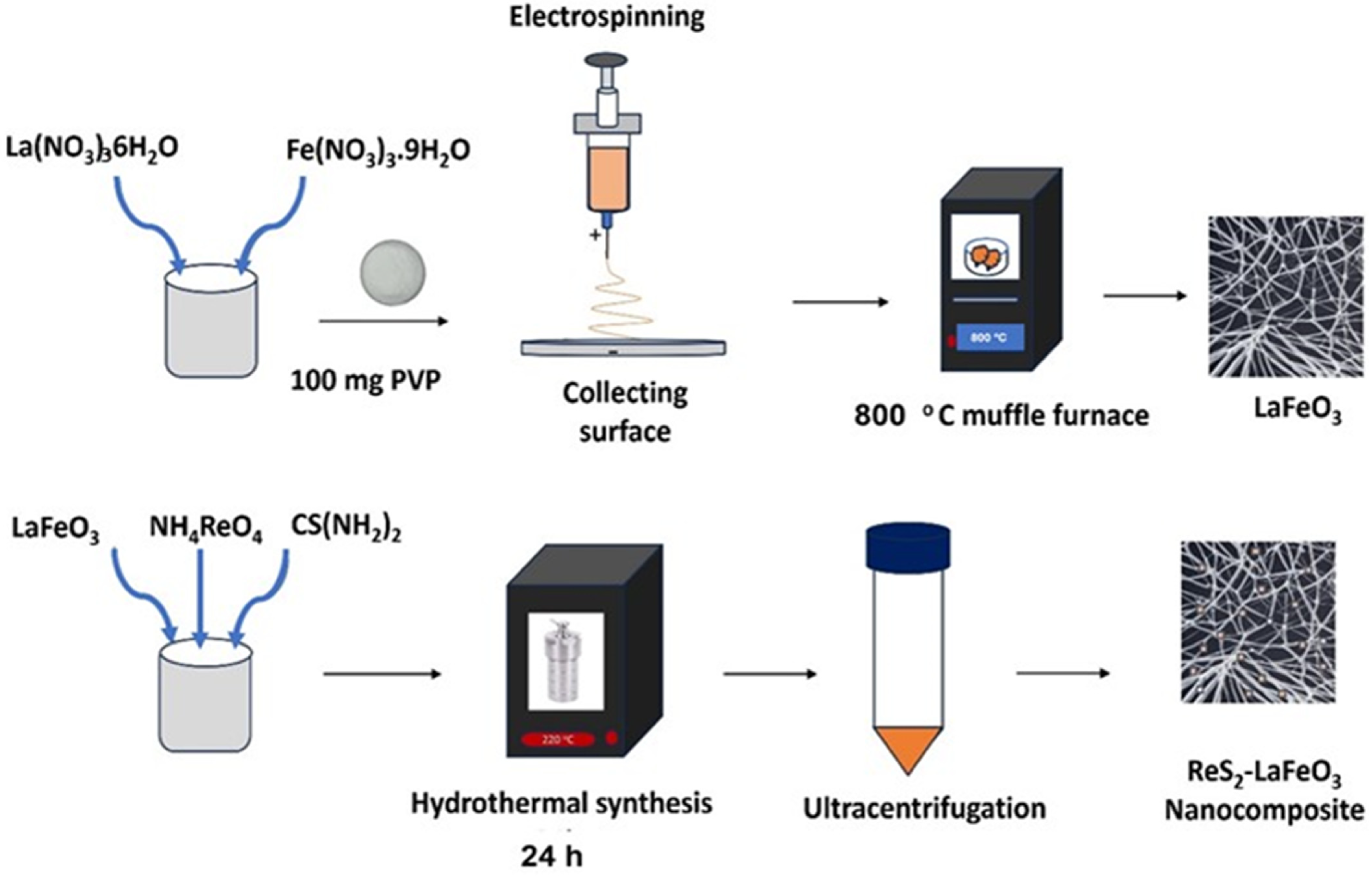 Catalysts 15 00224 sch001