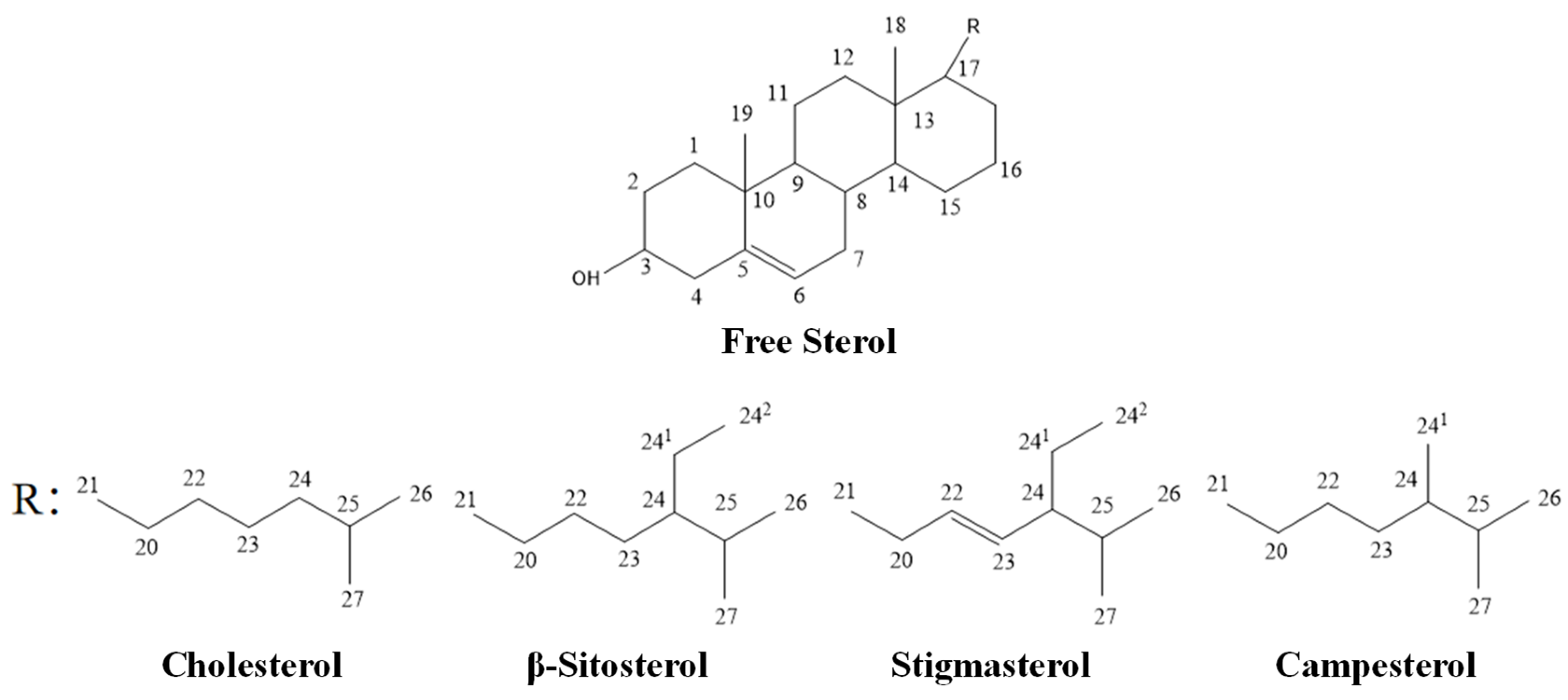 Catalysts 15 00225 g001