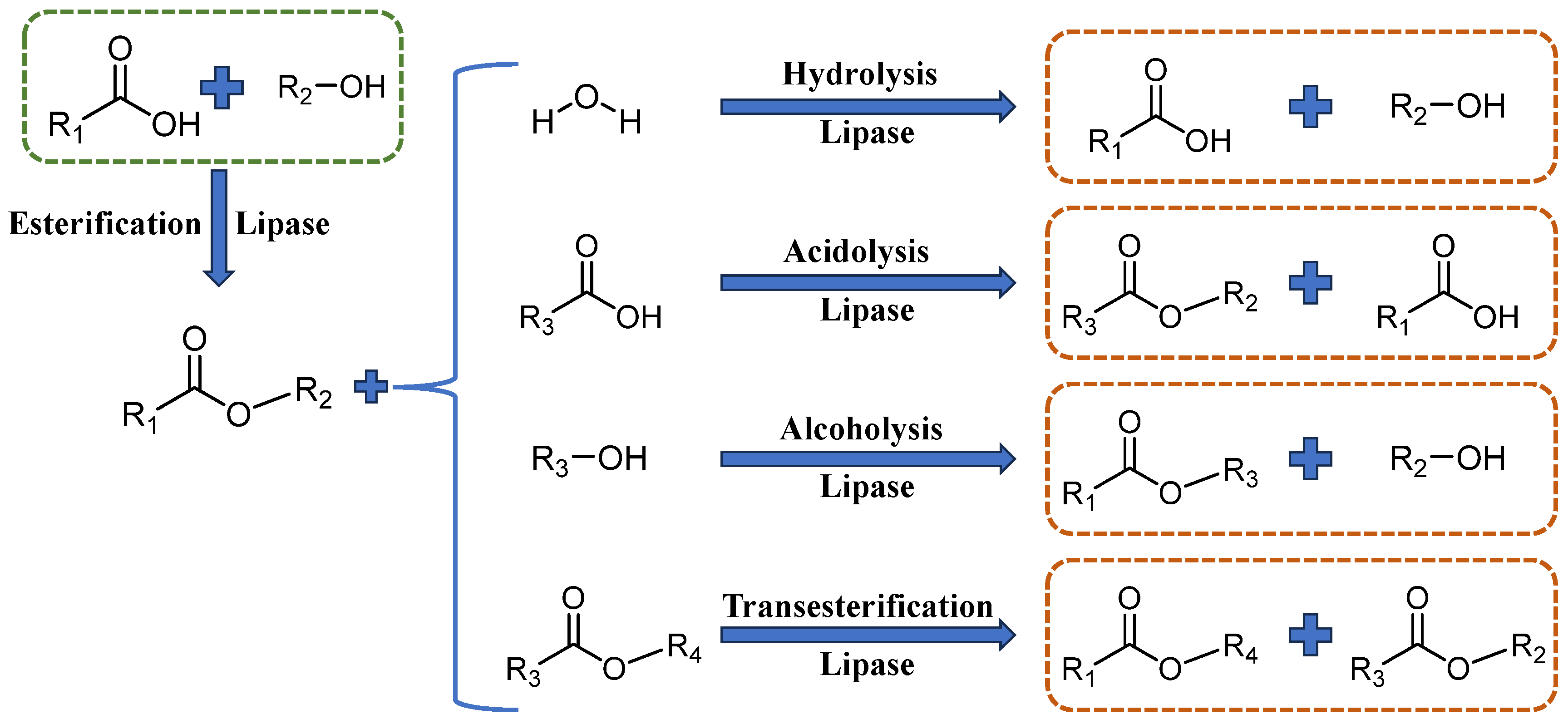 Catalysts 15 00225 g003