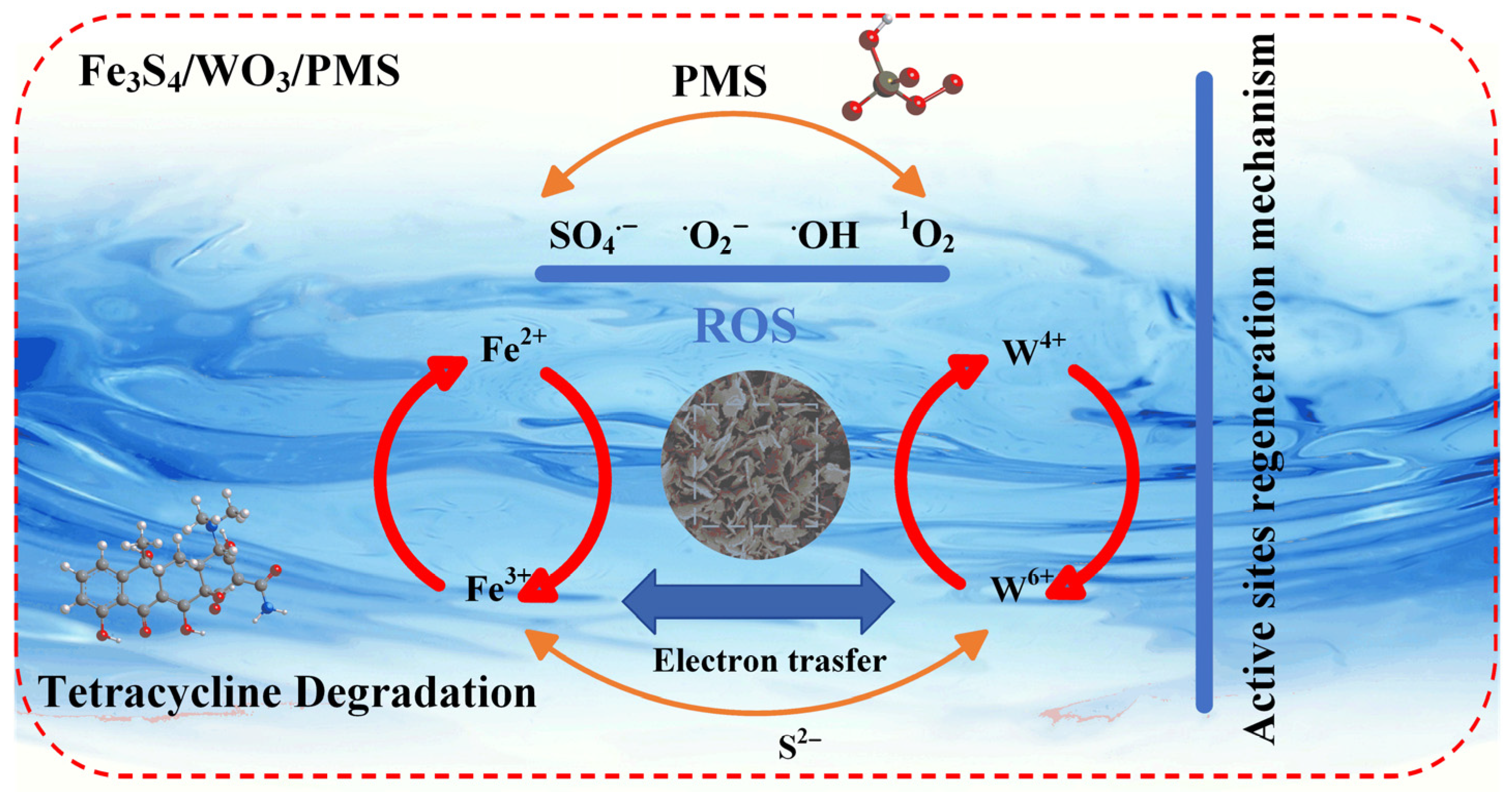Catalysts 15 00230 g008