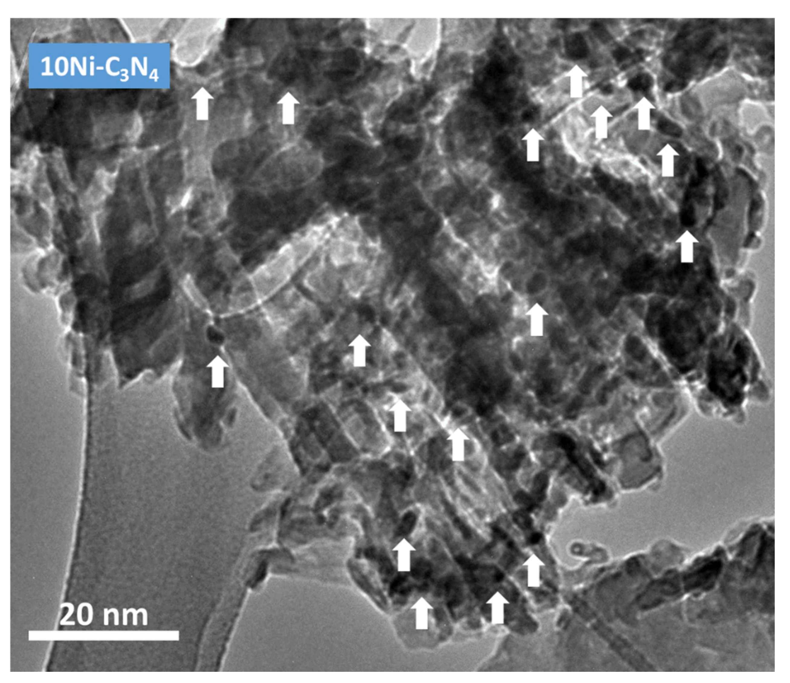 Catalysts 15 00233 g005
