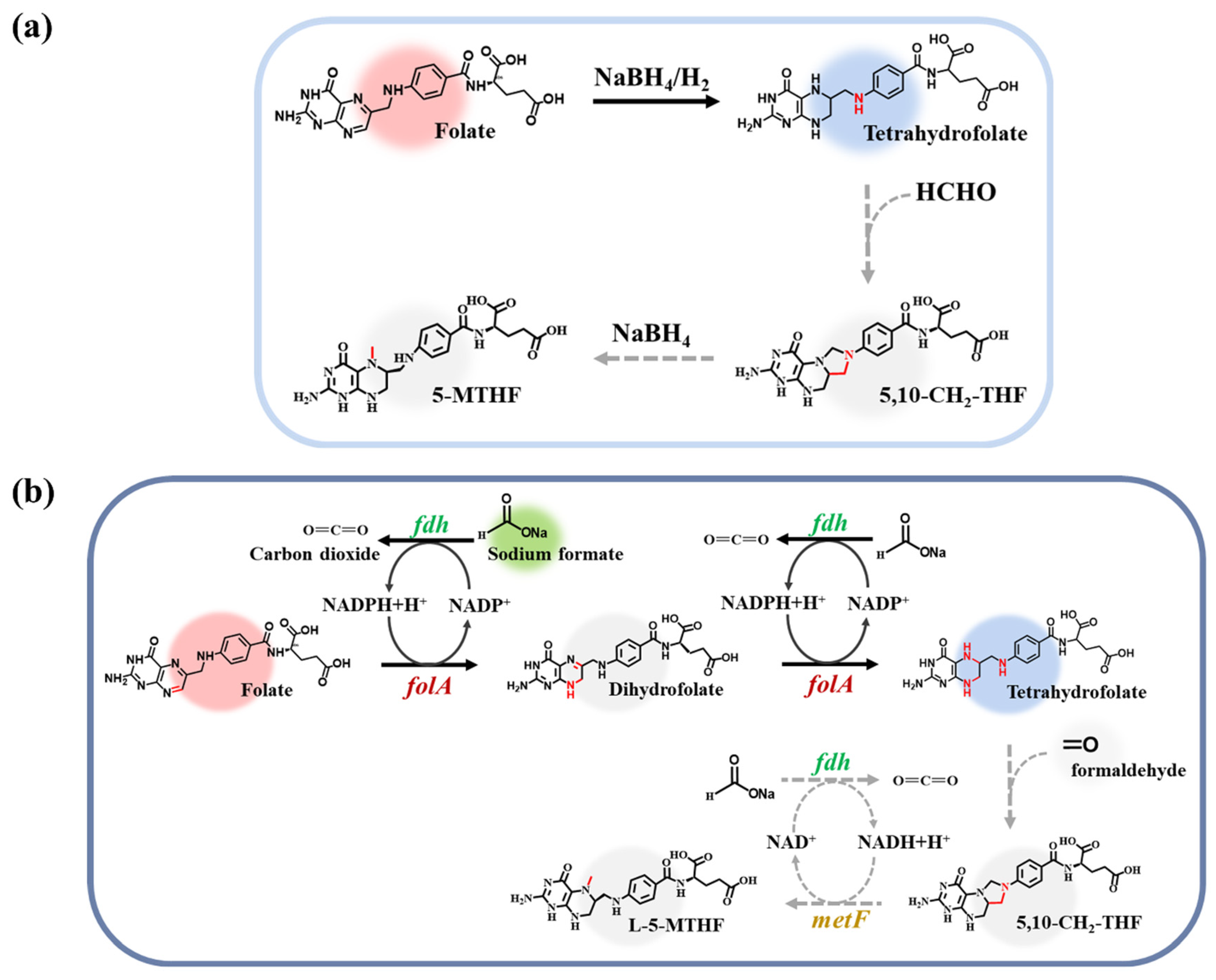 Catalysts 15 00235 g001