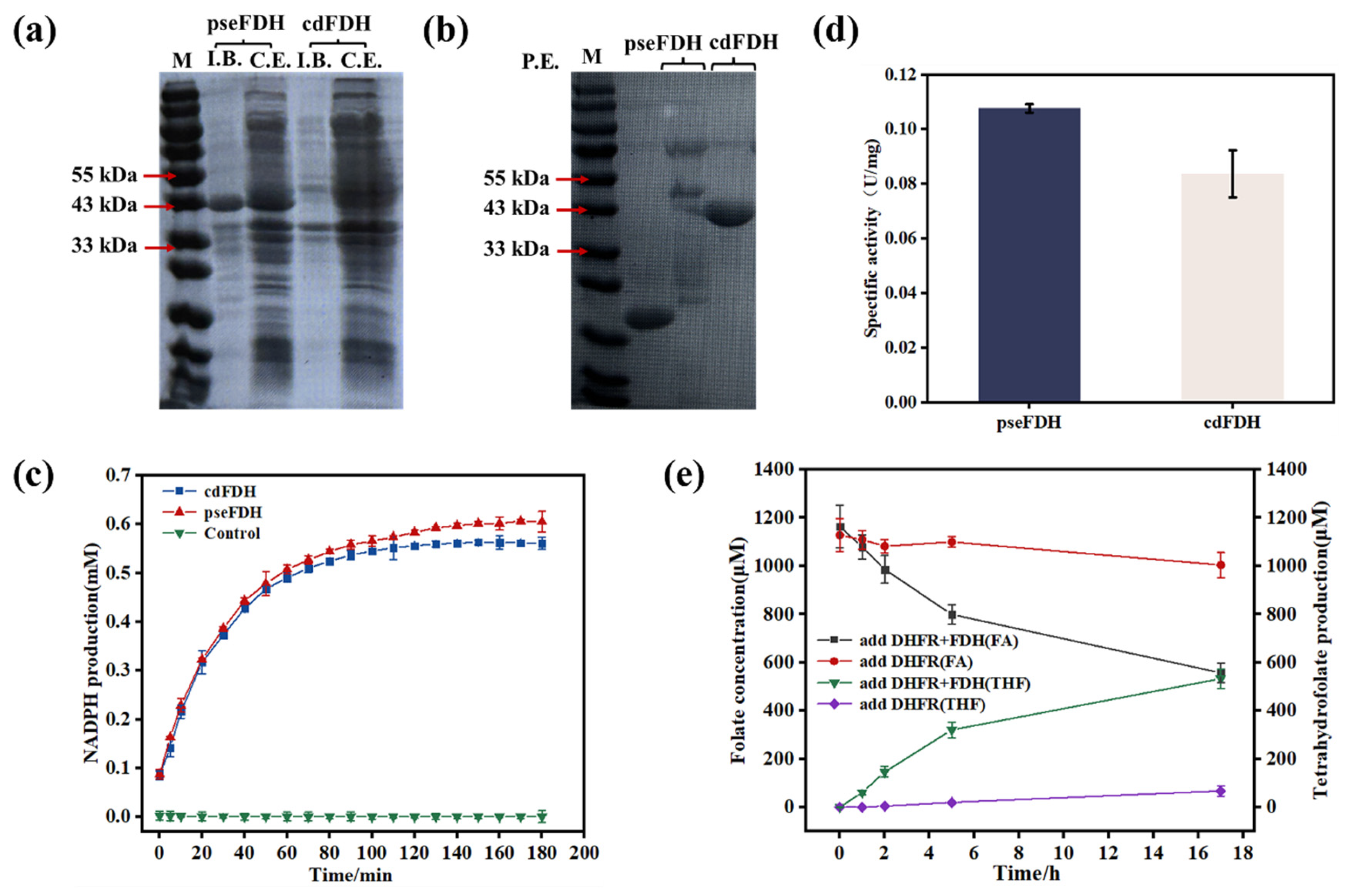 Catalysts 15 00235 g003