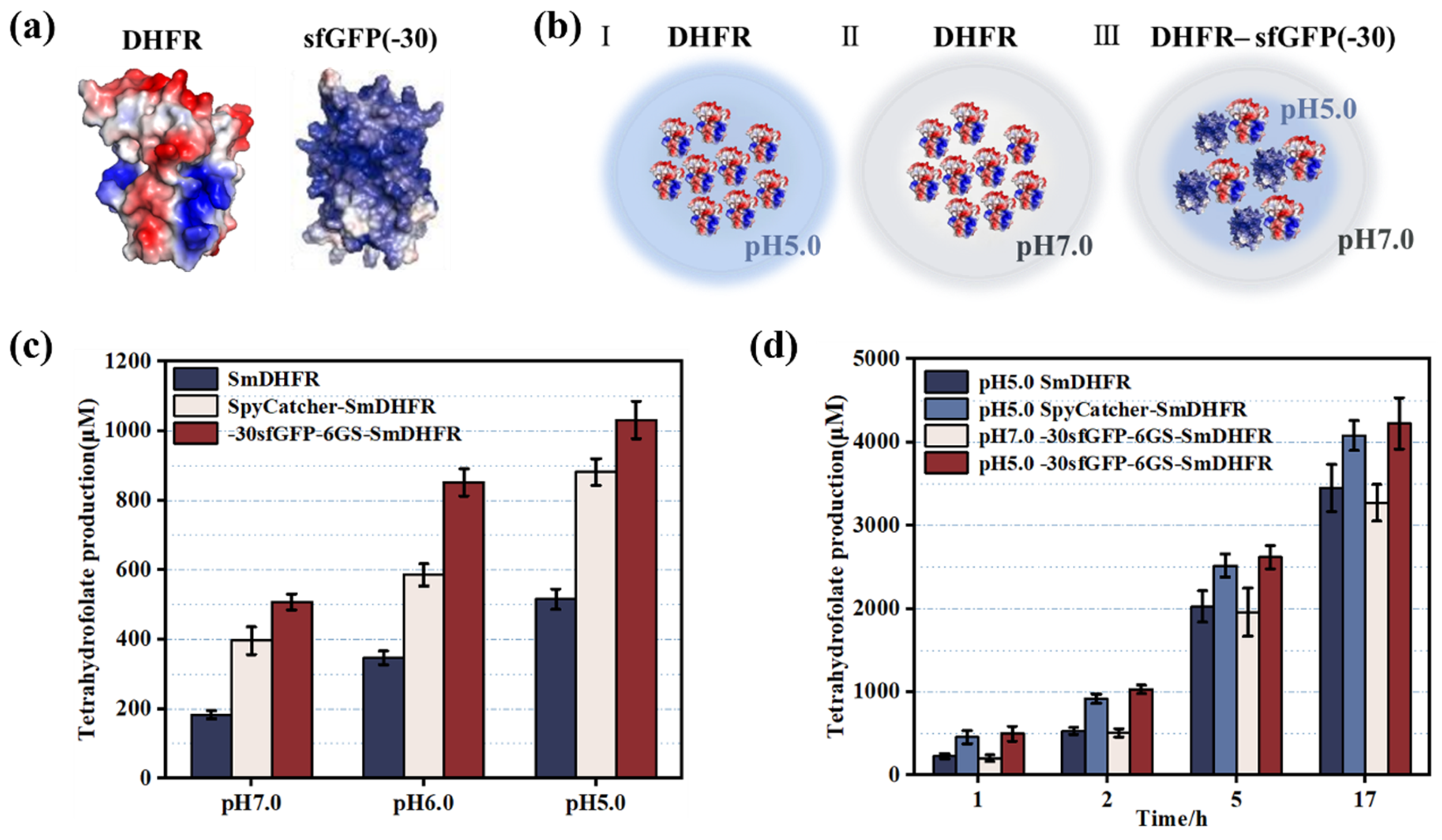 Catalysts 15 00235 g006