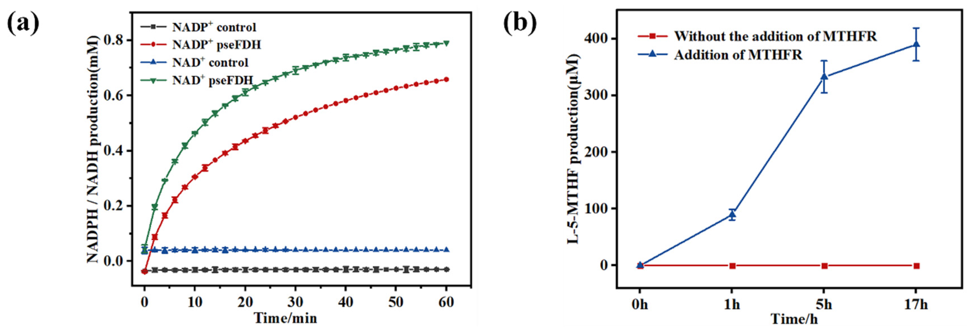 Catalysts 15 00235 g007