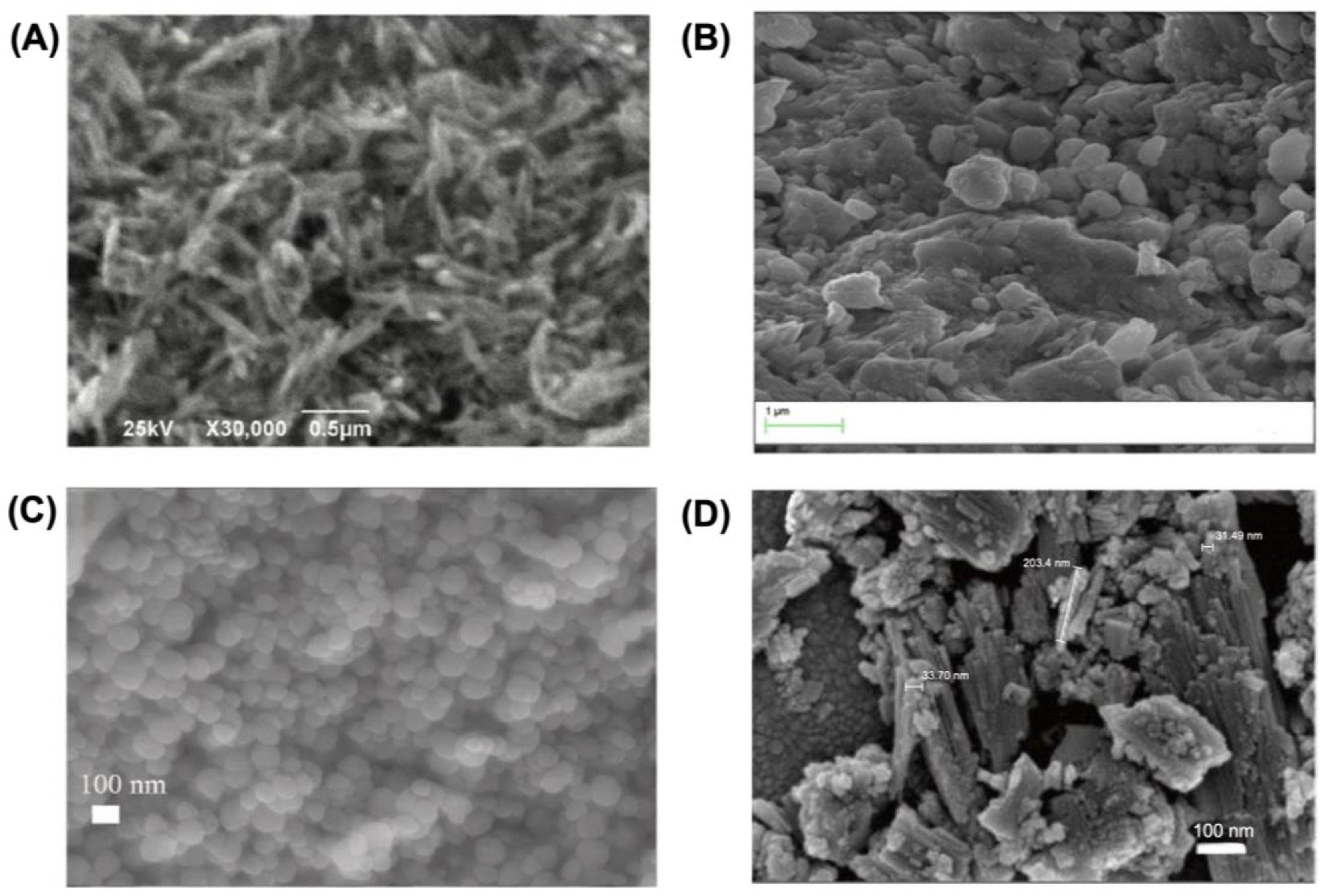 Catalysts 15 00236 g006