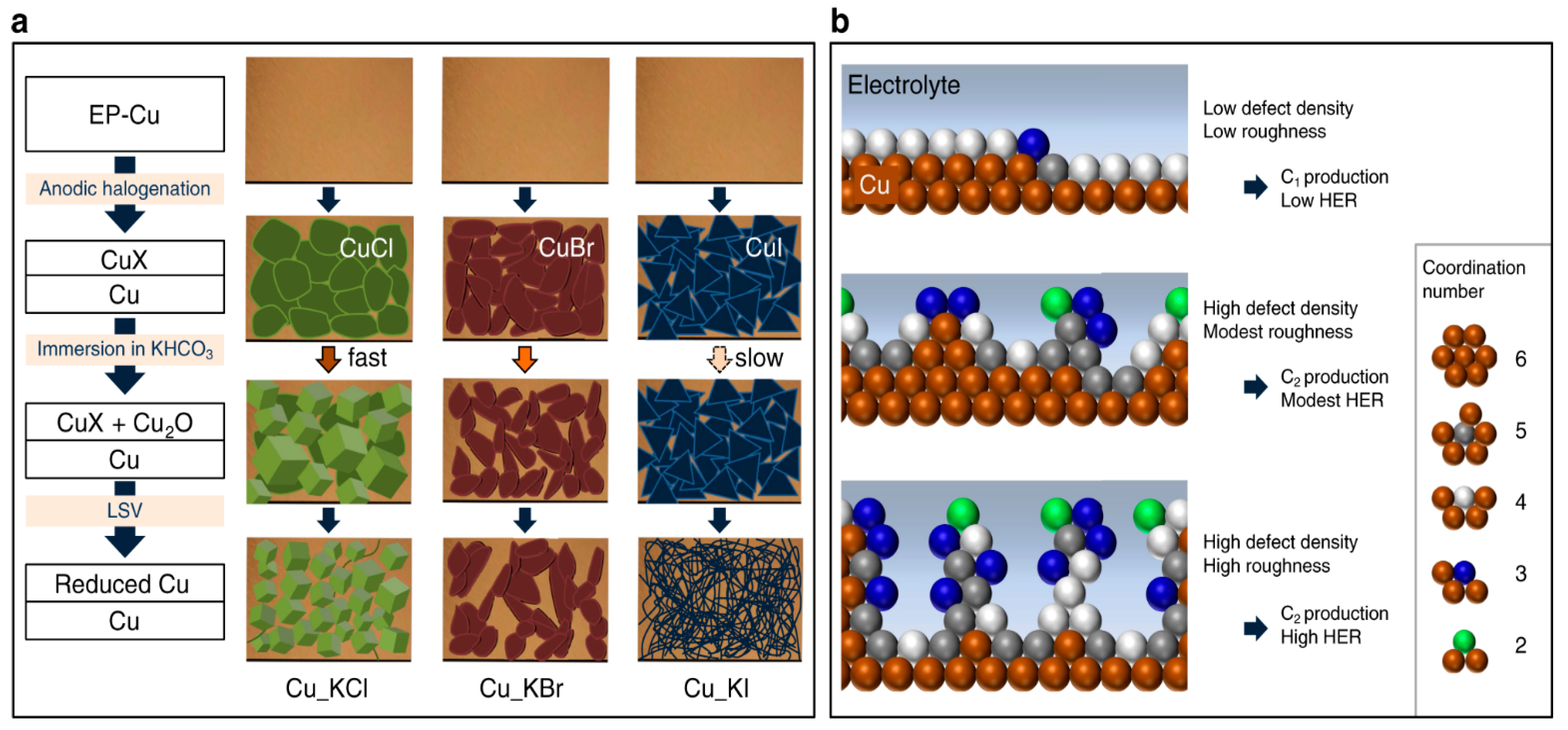 Catalysts 15 00237 g002