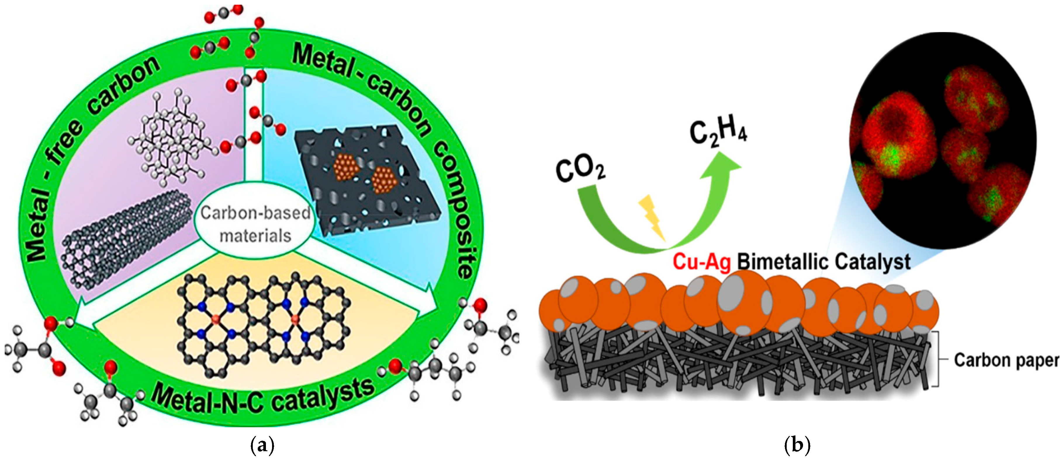 Catalysts 15 00237 g004